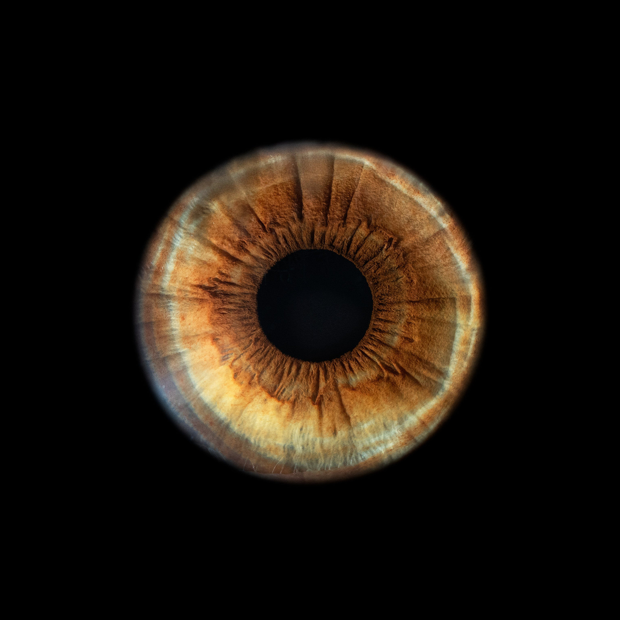 Фото радужки глаза, Севастополь, Ojo Art , фото студия радужки глаза в Крыму.