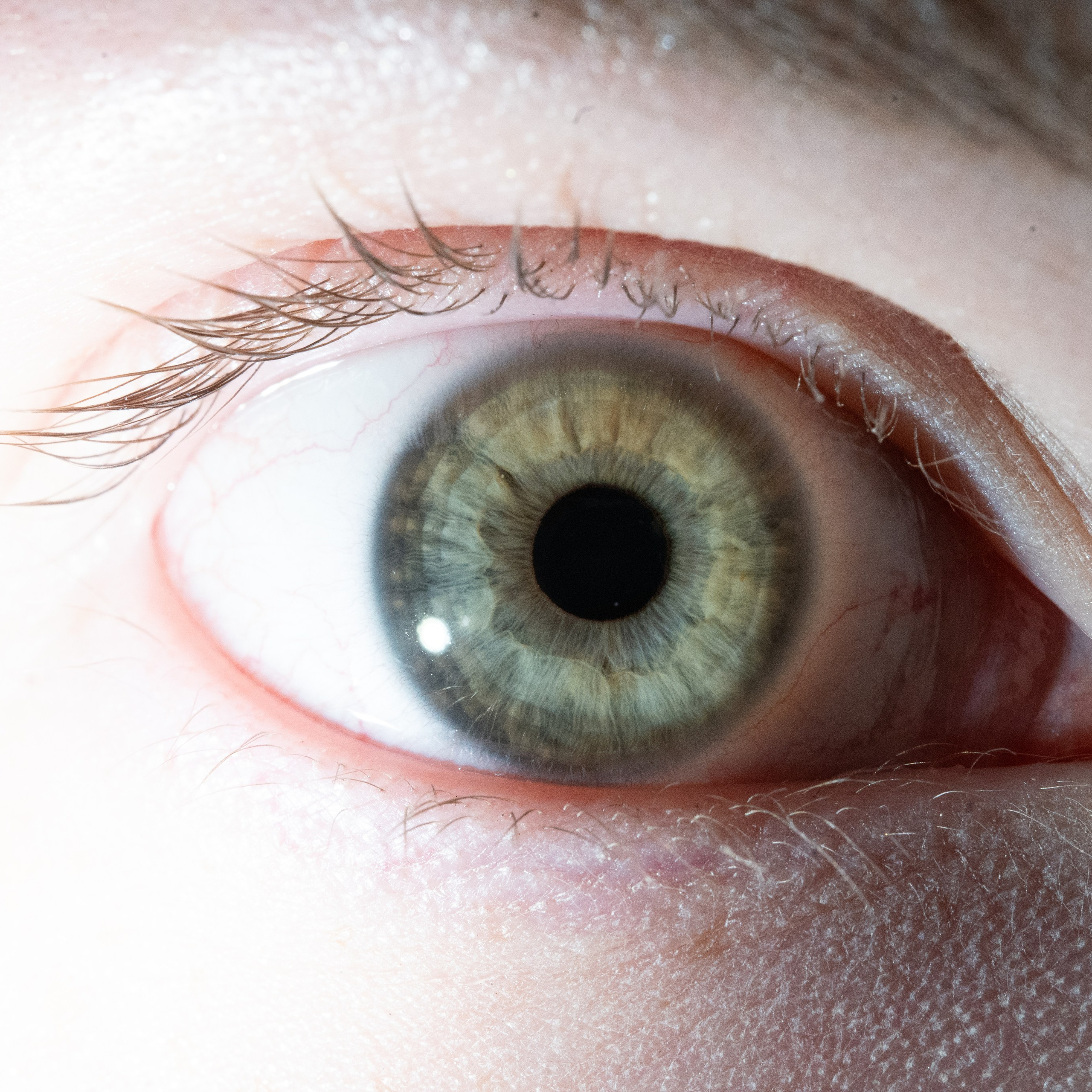 Портфолио — Галерея глаз  Ojo Art. Фотостудия макросъёмки радужки глаз в Севастополе «Ojo art»