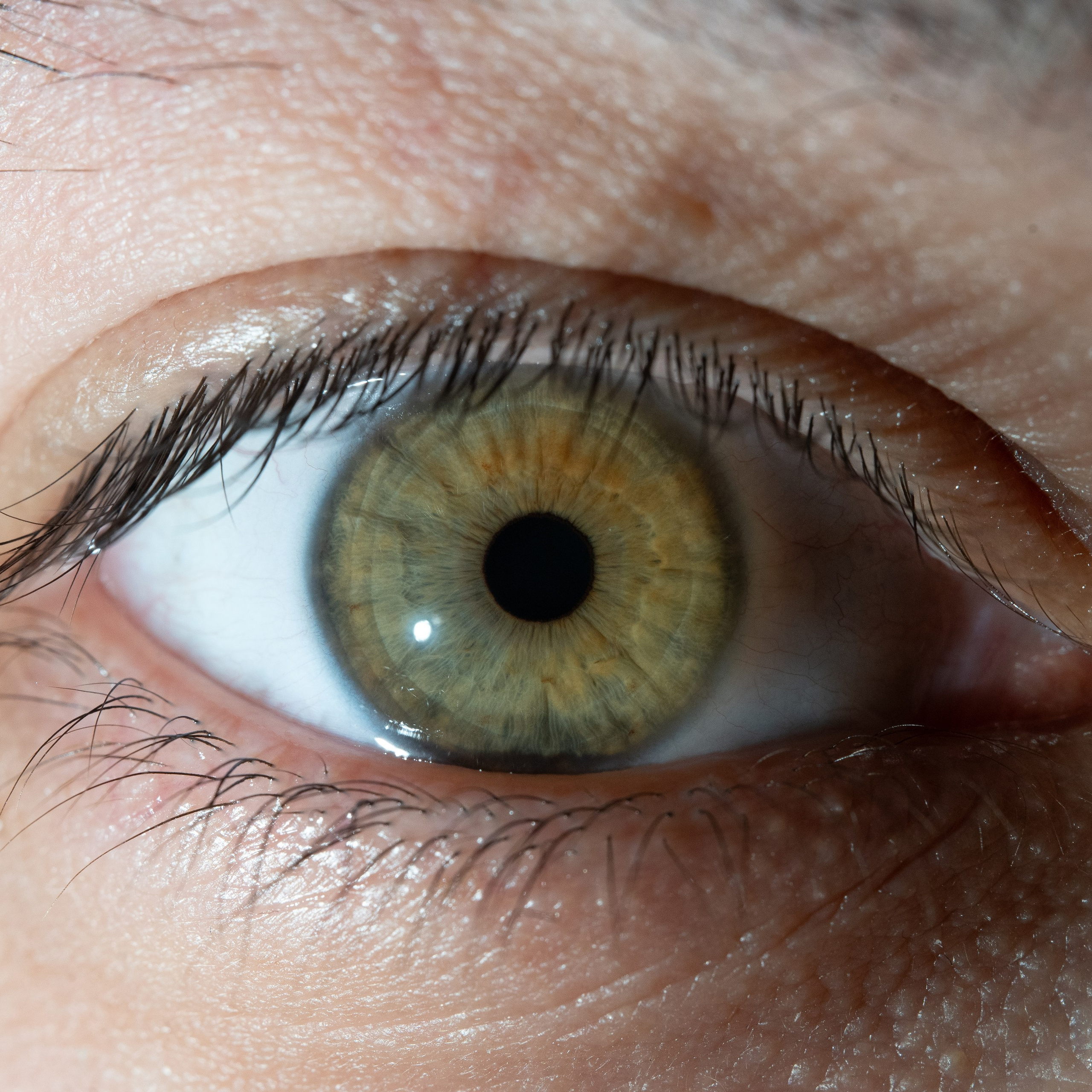 Фотография макро радужки глаза, Севастополь, Ojo Art , фото студия радужки глаза в Крыму, Севастополь 