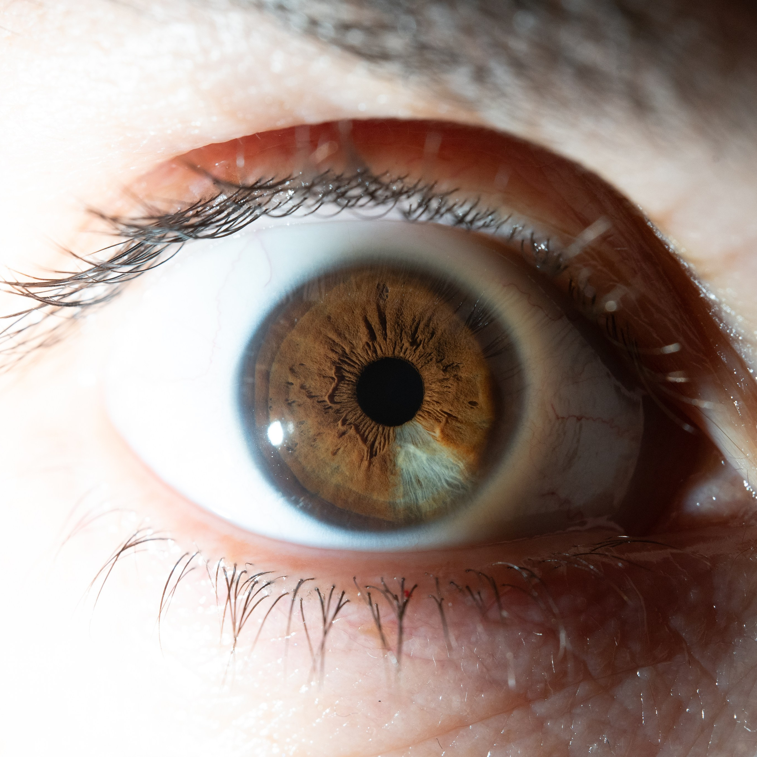 Фотография макро радужки глаза, Севастополь, Ojo Art , фото студия радужки глаза в Крыму, Севастополь 