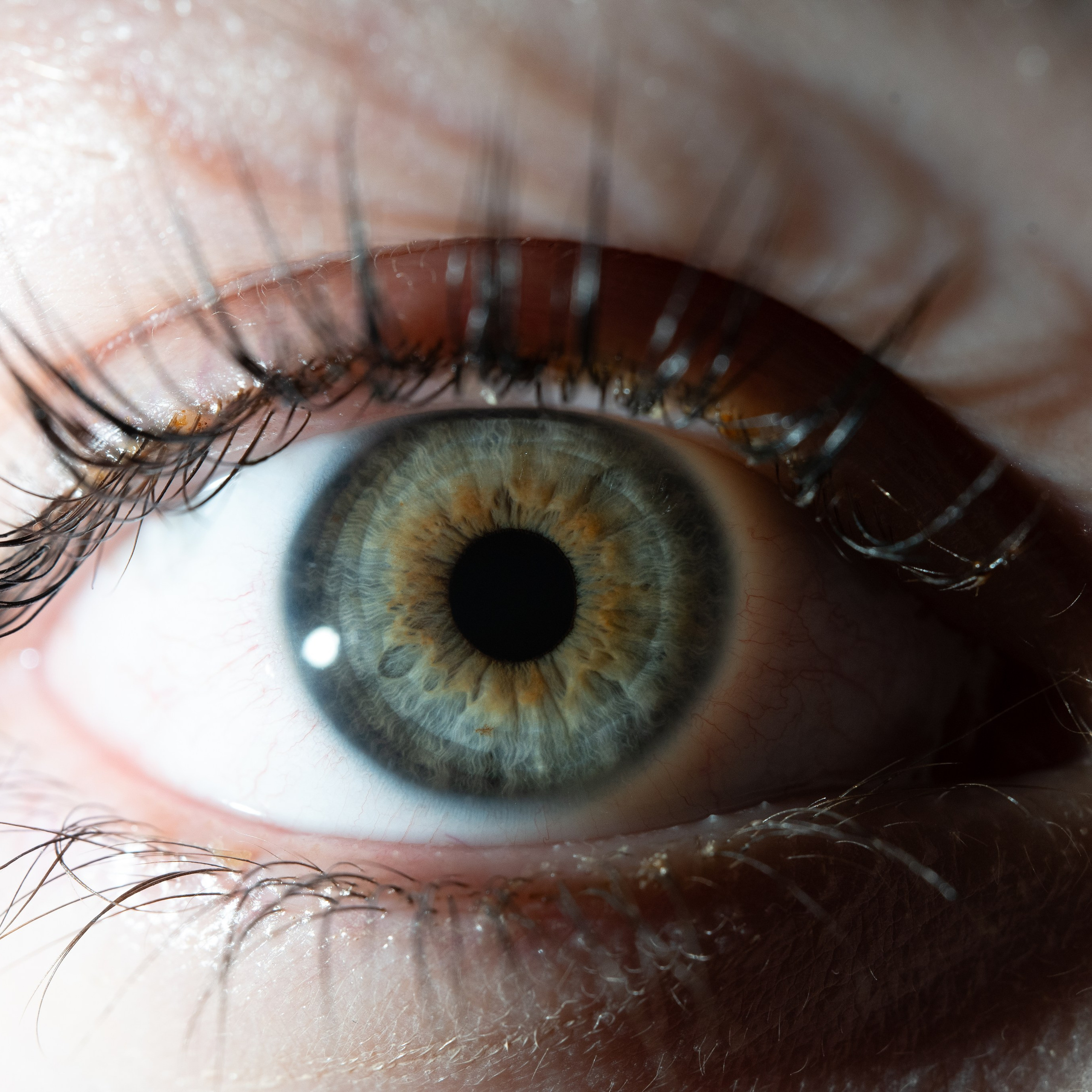 Фотография макро радужки глаза, Севастополь, Ojo Art , фото студия радужки глаза в Крыму, Севастополь 