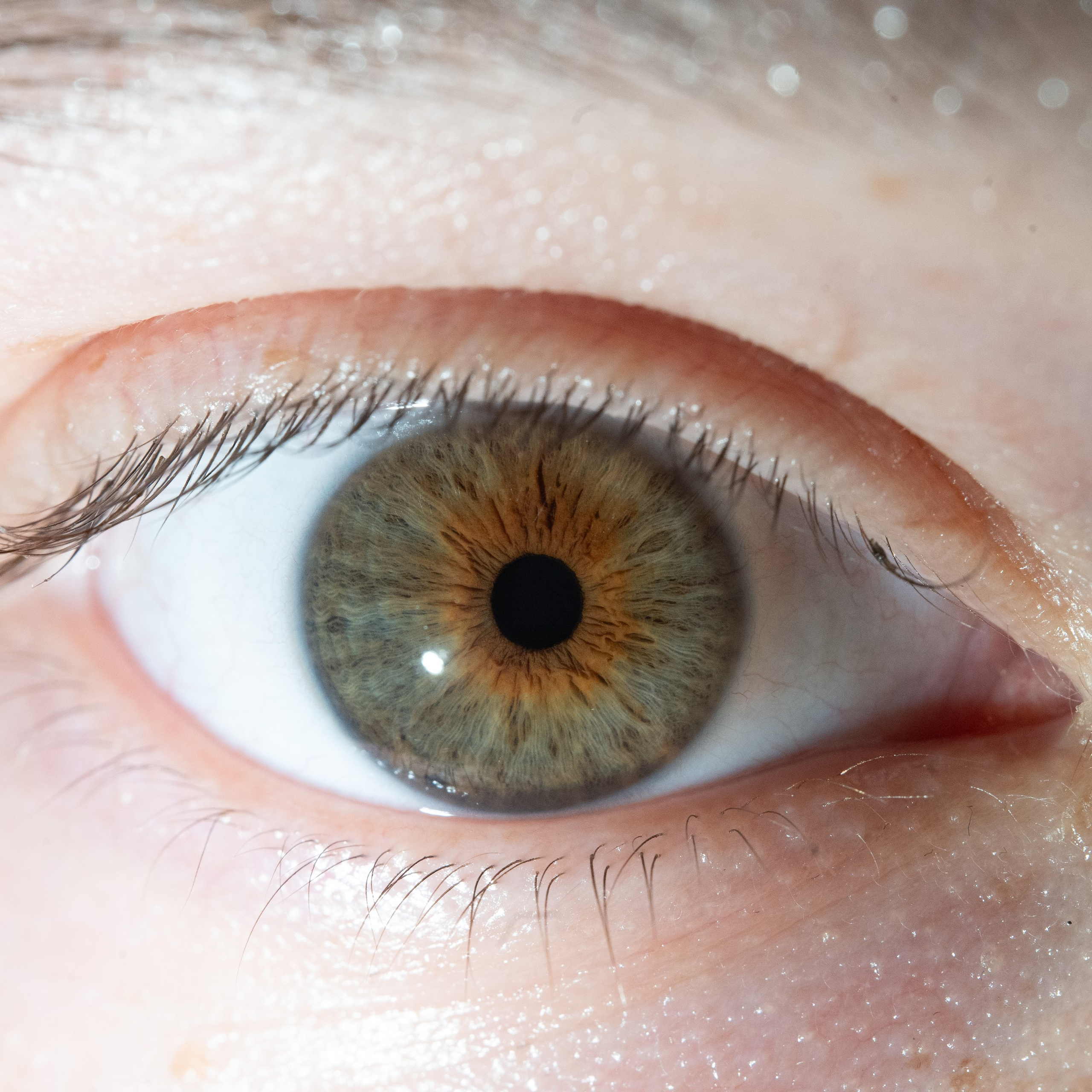 Портфолио — Галерея глаз  Ojo Art. Фотостудия макросъёмки радужки глаз в Севастополе «Ojo art»