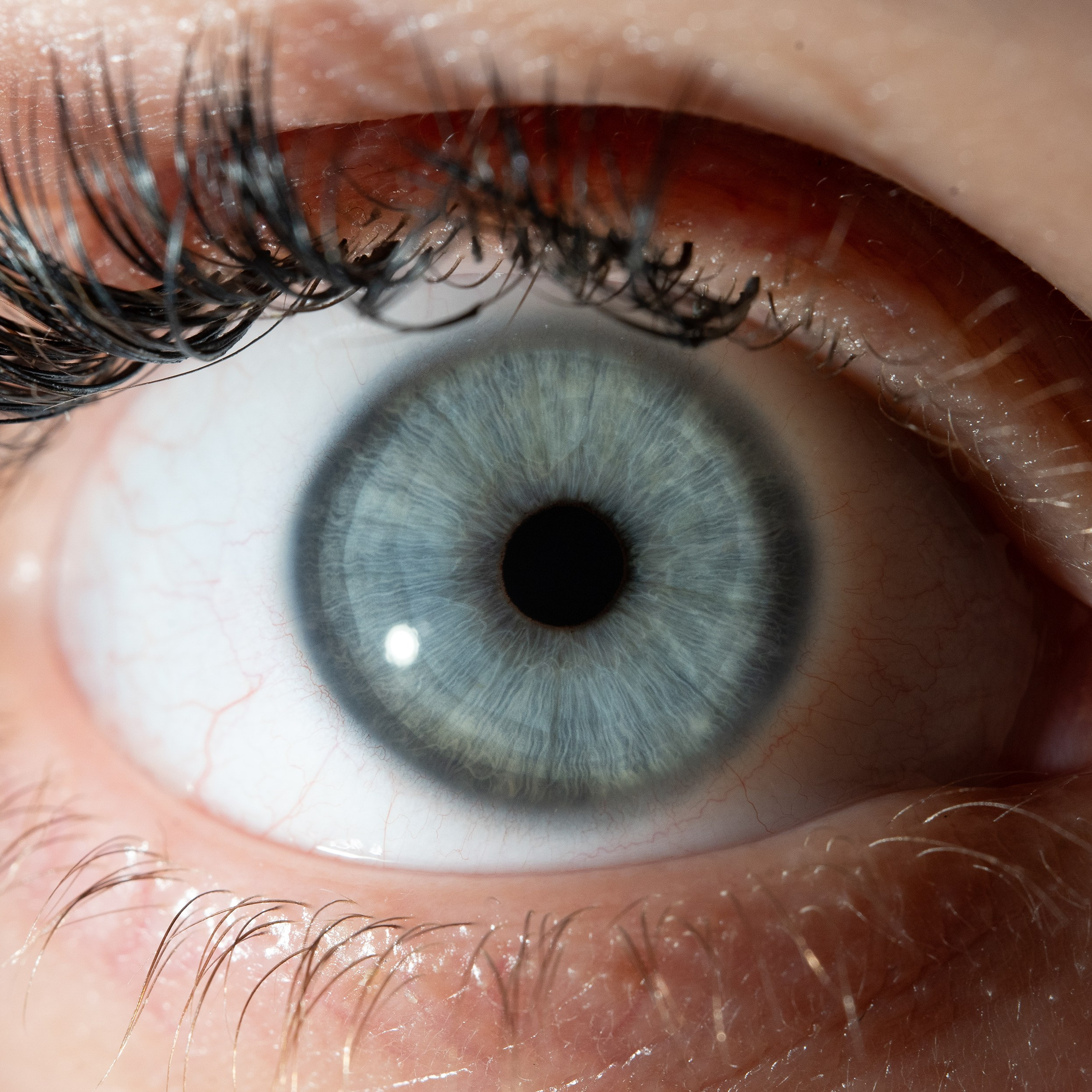 Фотография макро радужки глаза, Севастополь, Ojo Art , фото студия радужки глаза в Крыму, Севастополь 