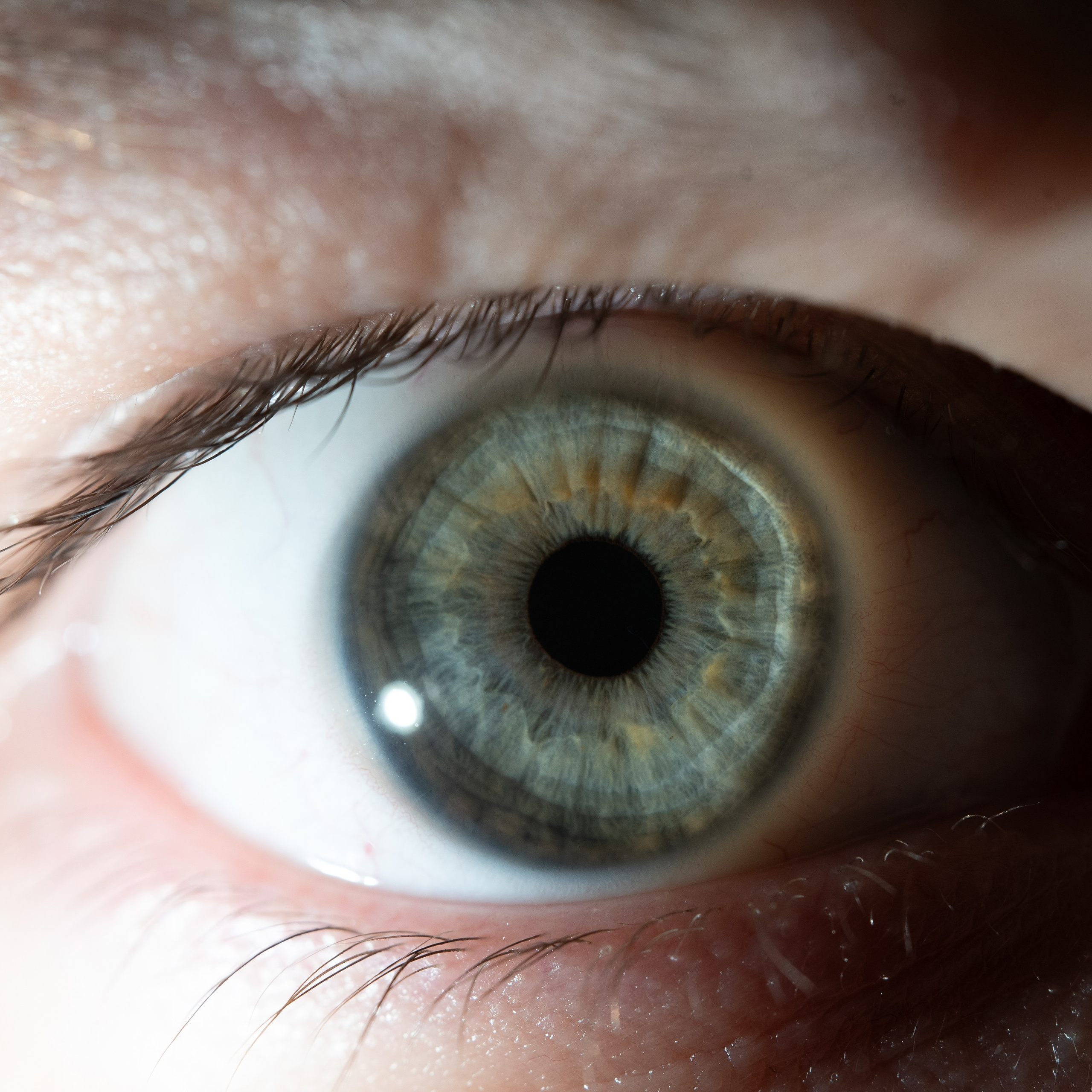 Фотография макро радужки глаза, Севастополь, Ojo Art , фото студия радужки глаза в Крыму, Севастополь 