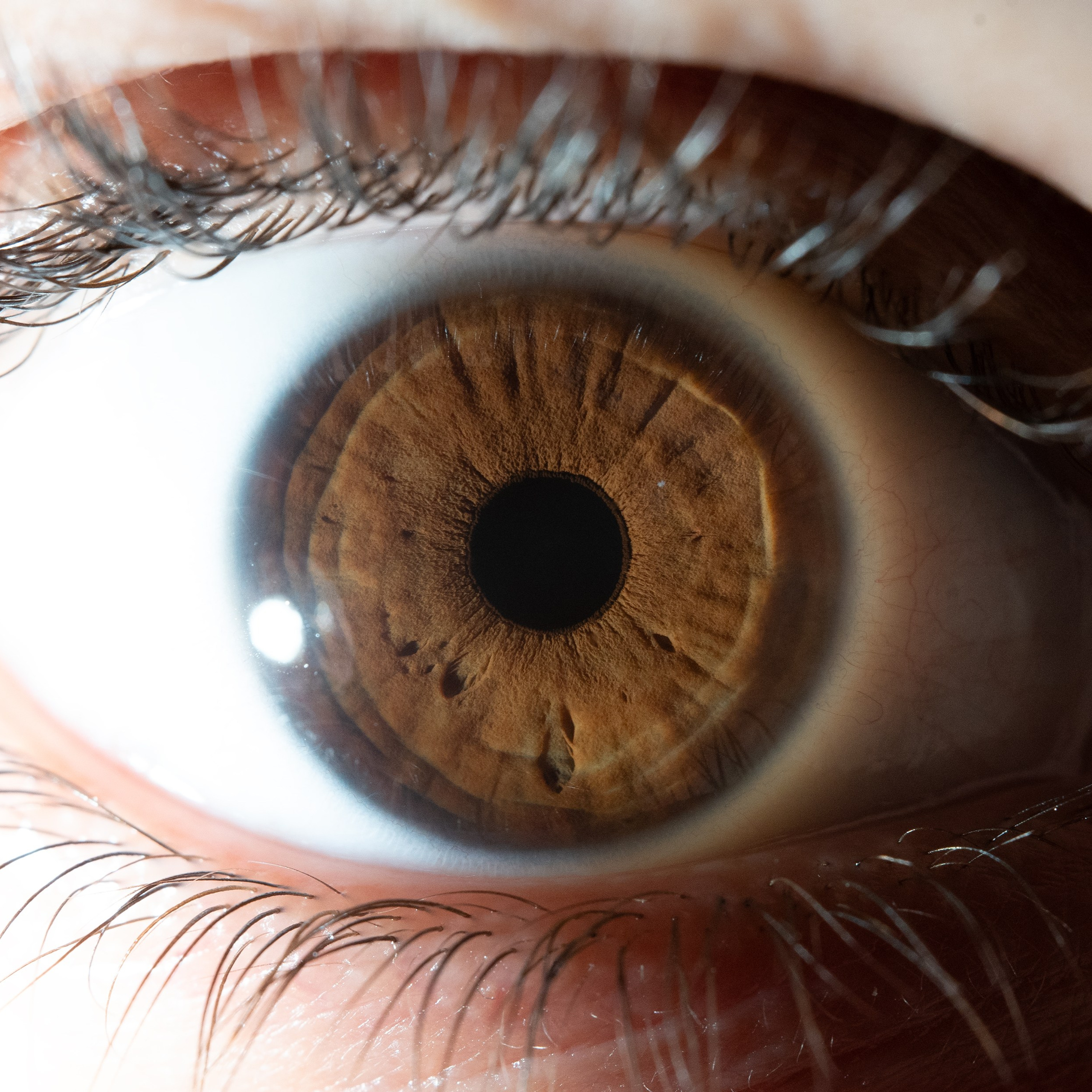 Фотография макро радужки глаза, Севастополь, Ojo Art , фото студия радужки глаза в Крыму, Севастополь 