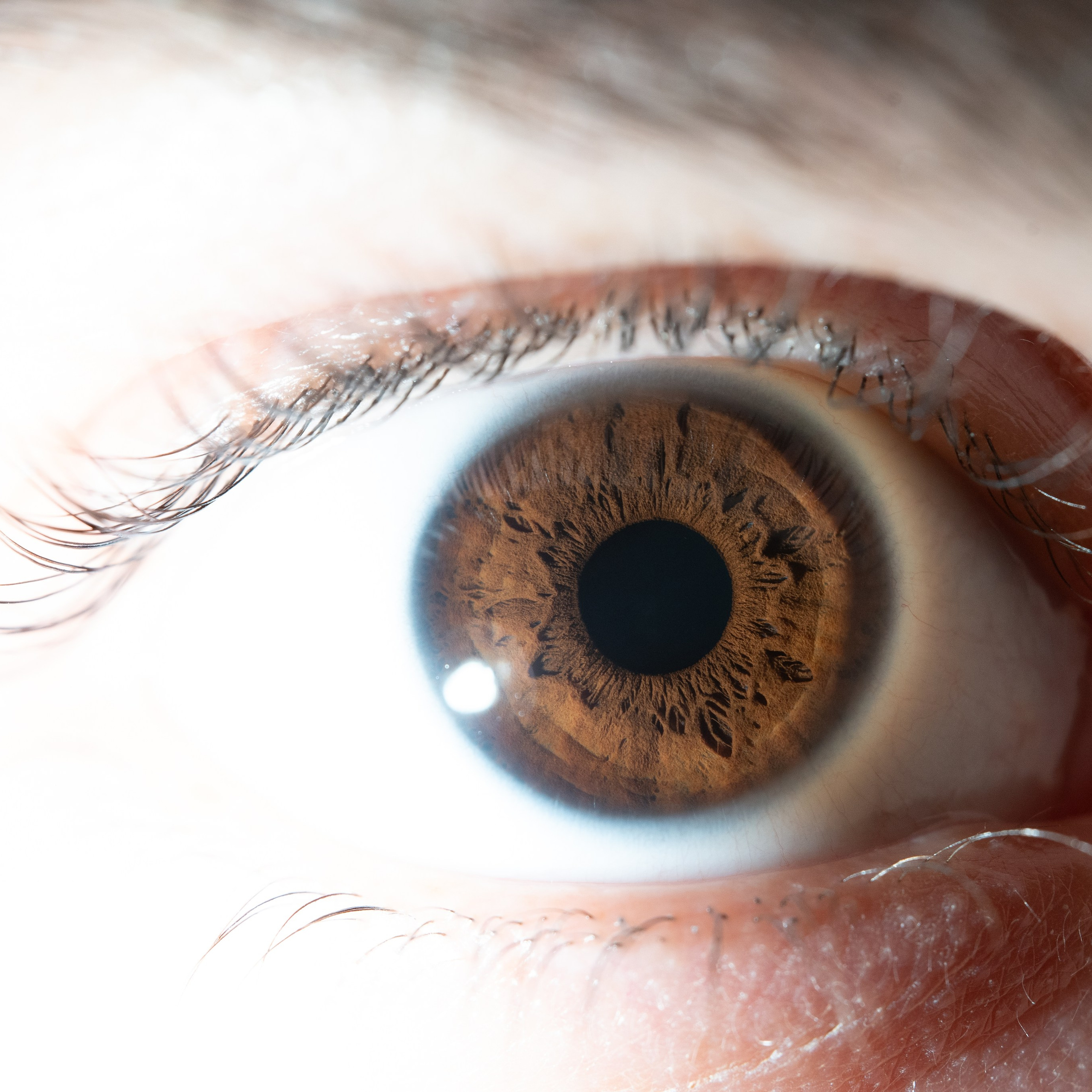 Фотография макро радужки глаза, Севастополь, Ojo Art , фото студия радужки глаза в Крыму, Севастополь 