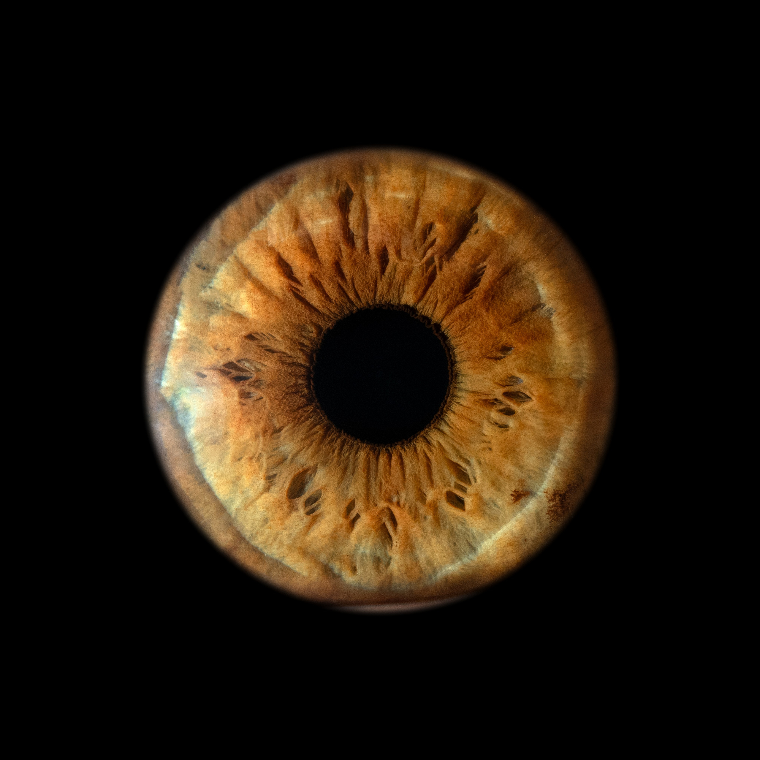 Фото радужки глаза, Севастополь, Ojo Art , фото студия радужки глаза в Крыму.