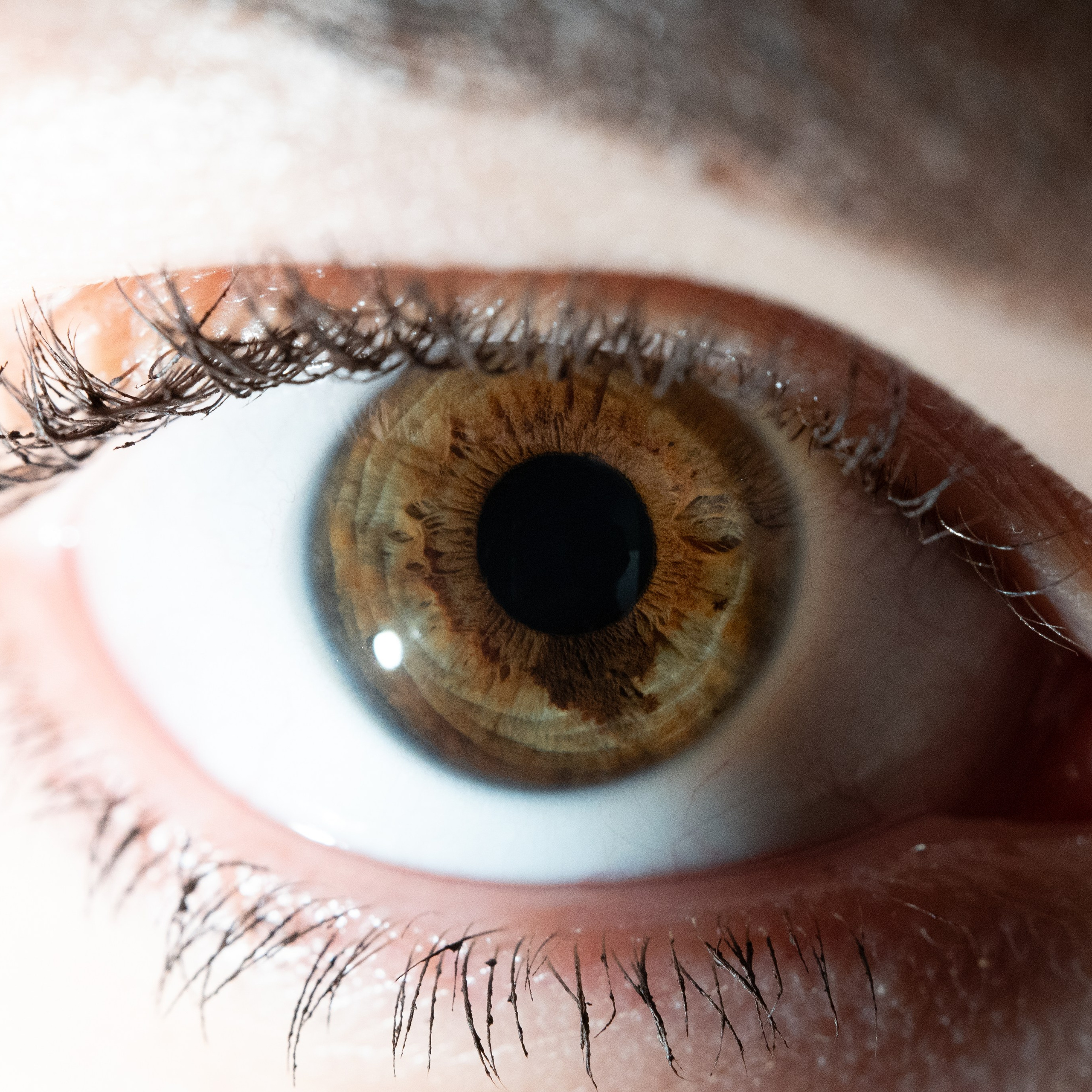 Портфолио — Галерея глаз  Ojo Art. Фотостудия макросъёмки радужки глаз в Севастополе «Ojo art»