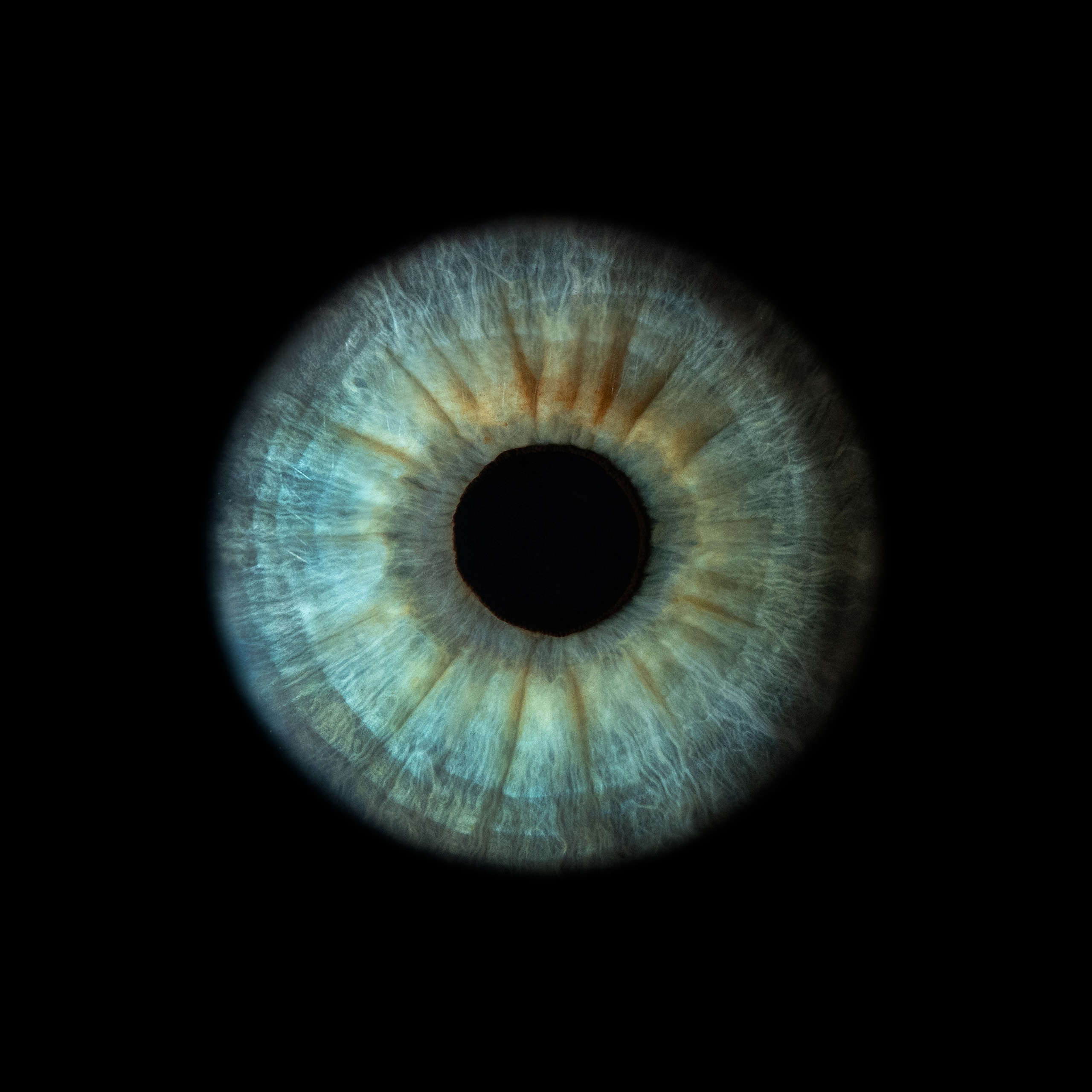 Фото радужки глаза, Севастополь, Ojo Art , фото студия радужки глаза в Крыму.