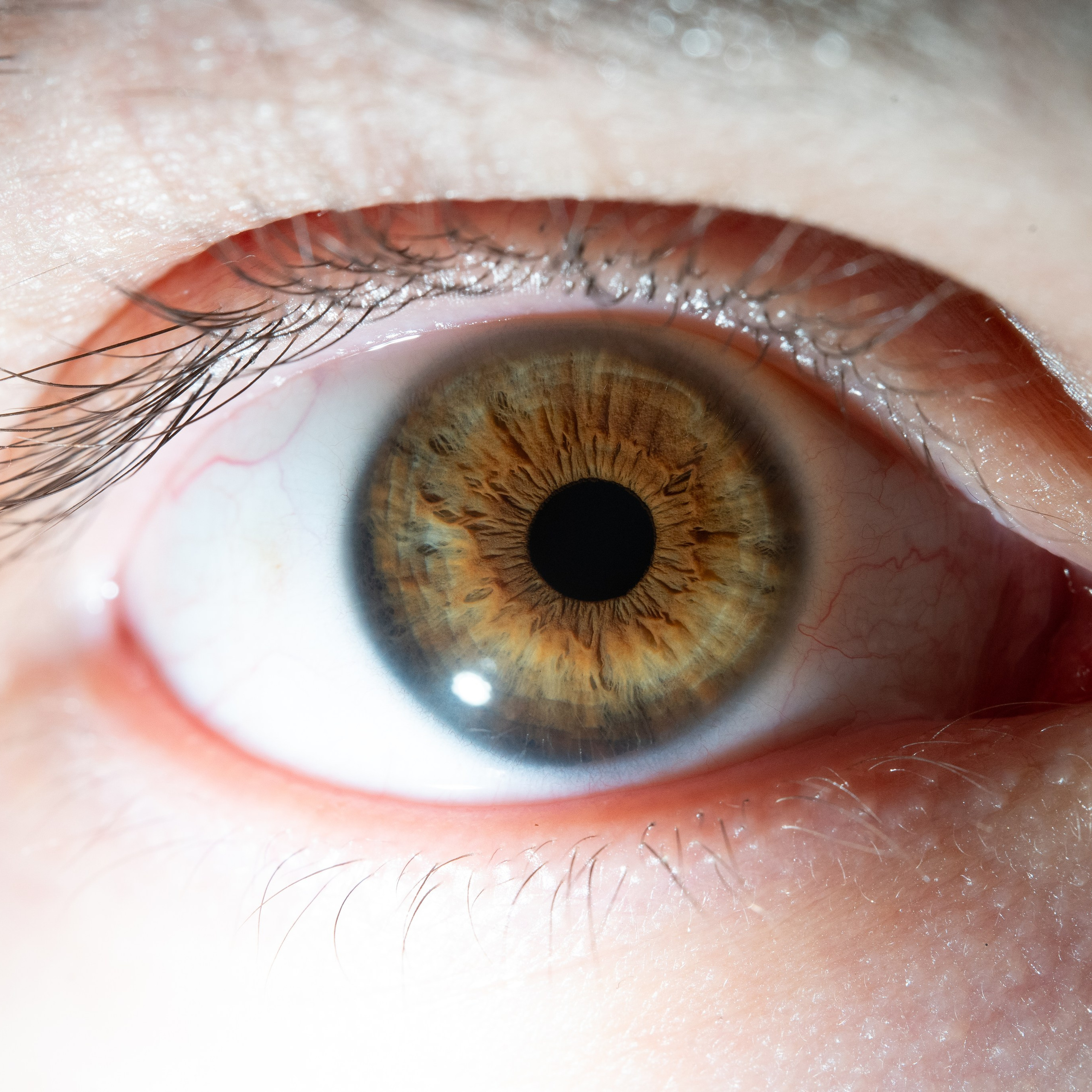 Фотография макро радужки глаза, Севастополь, Ojo Art , фото студия радужки глаза в Крыму, Севастополь 