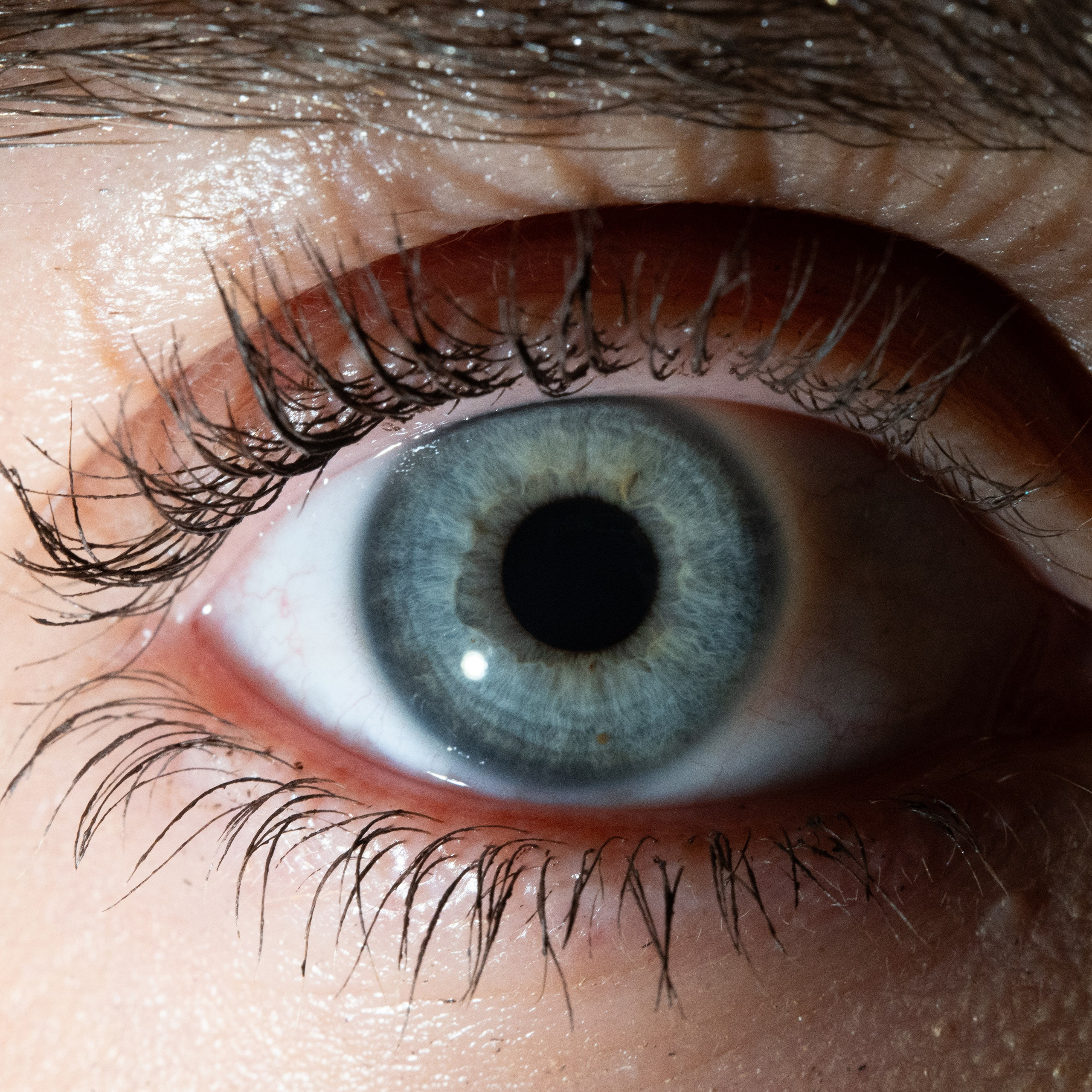 Портфолио — Галерея глаз  Ojo Art. Фотостудия макросъёмки радужки глаз в Севастополе «Ojo art»