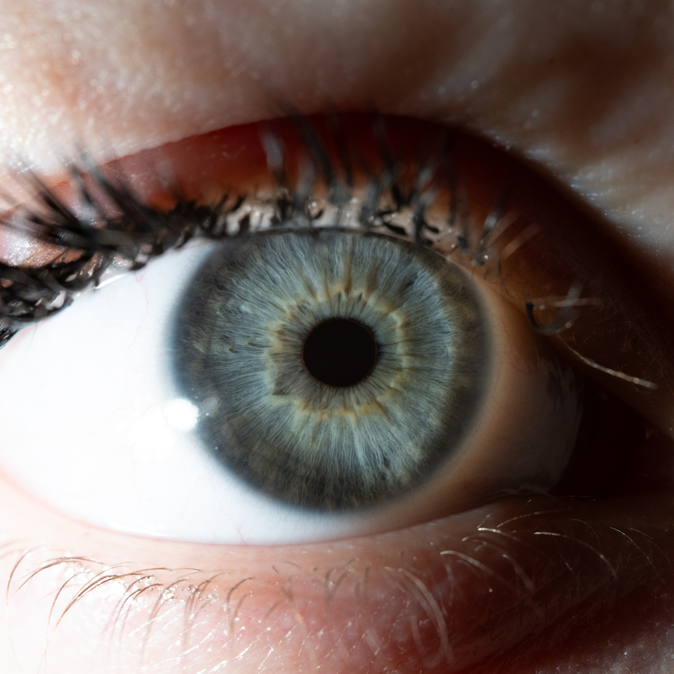 Фотография макро радужки глаза, Севастополь, Ojo Art , фото студия радужки глаза в Крыму, Севастополь 