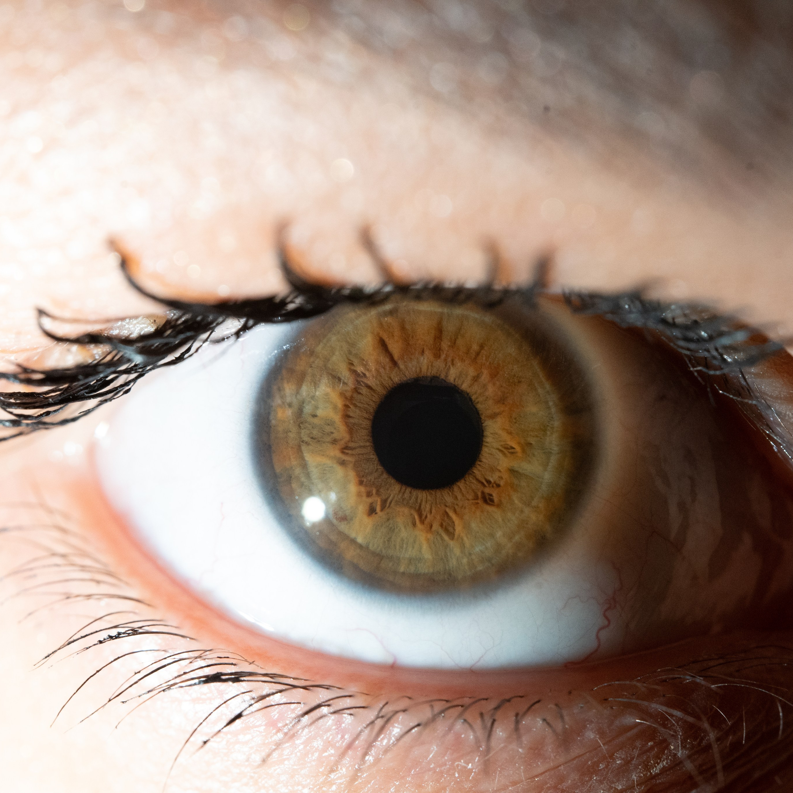 Портфолио — Галерея глаз  Ojo Art. Фотостудия макросъёмки радужки глаз в Севастополе «Ojo art»