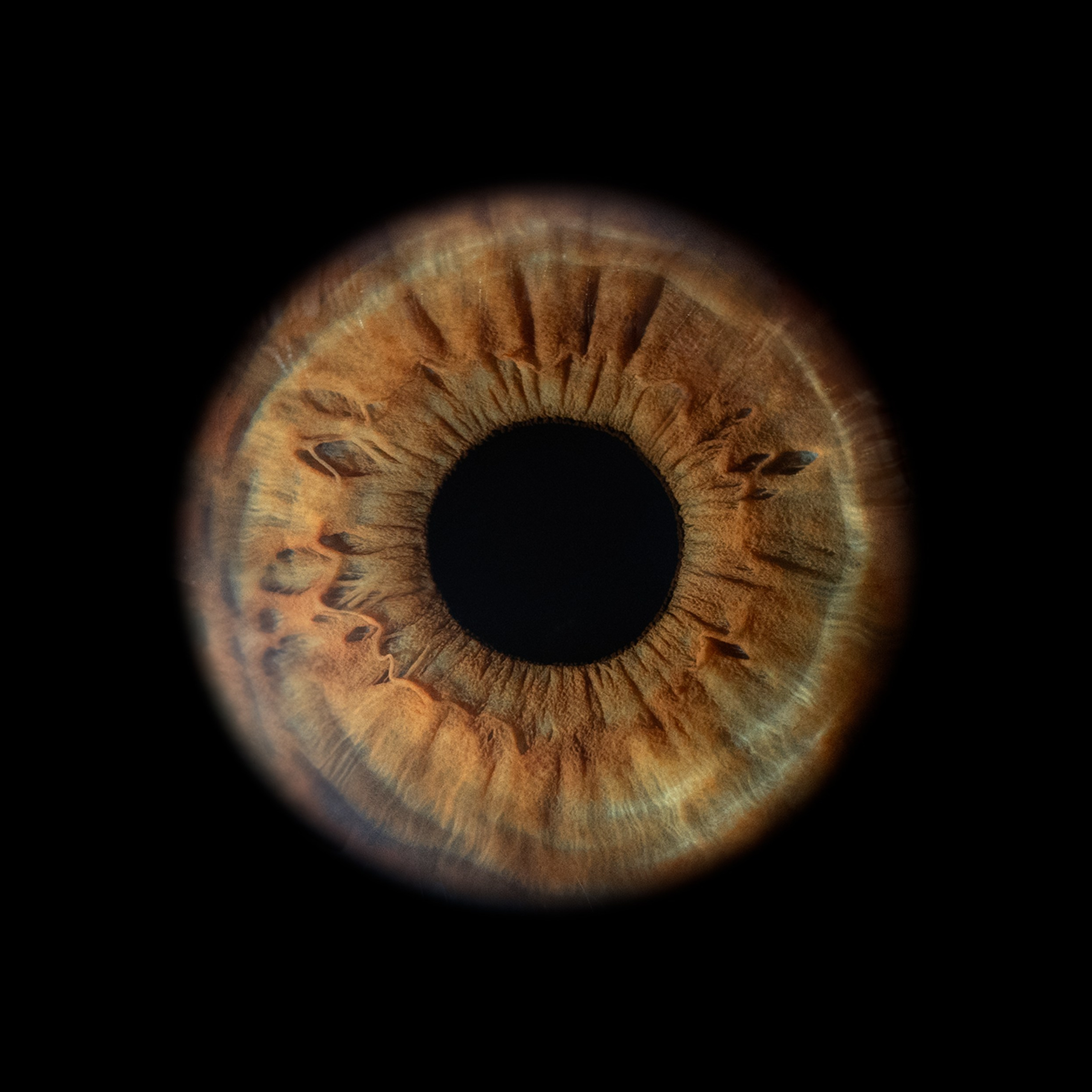 Фото радужки глаза, Севастополь, Ojo Art , фото студия радужки глаза в Крыму.