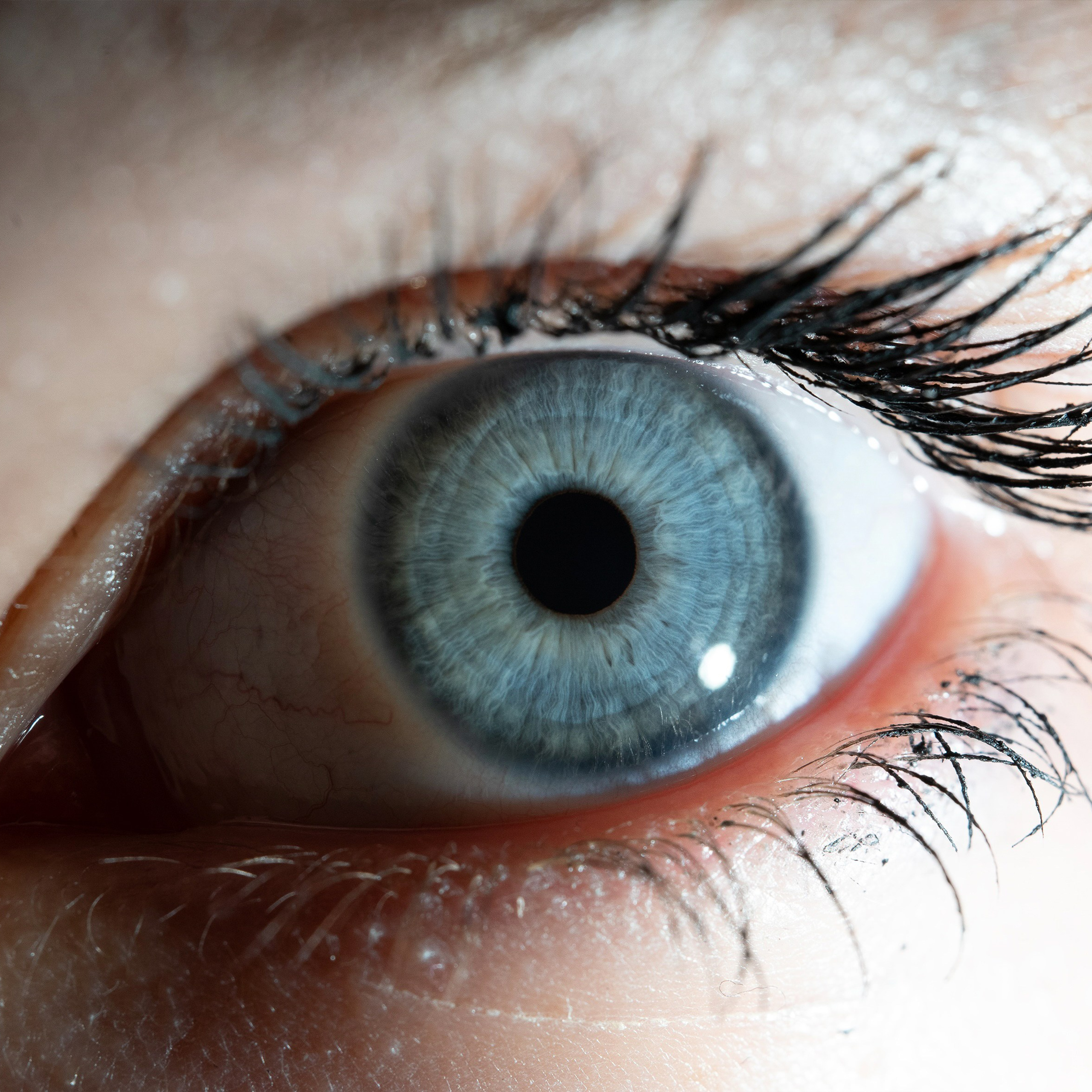 Фотография макро радужки глаза, Севастополь, Ojo Art , фото студия радужки глаза в Крыму, Севастополь 