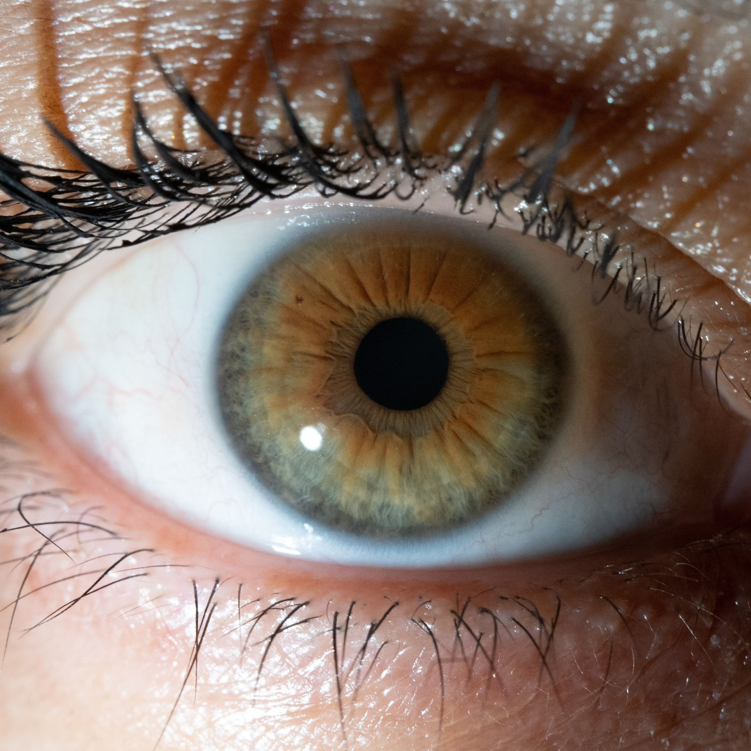 Портфолио — Галерея глаз  Ojo Art. Фотостудия макросъёмки радужки глаз в Севастополе «Ojo art»