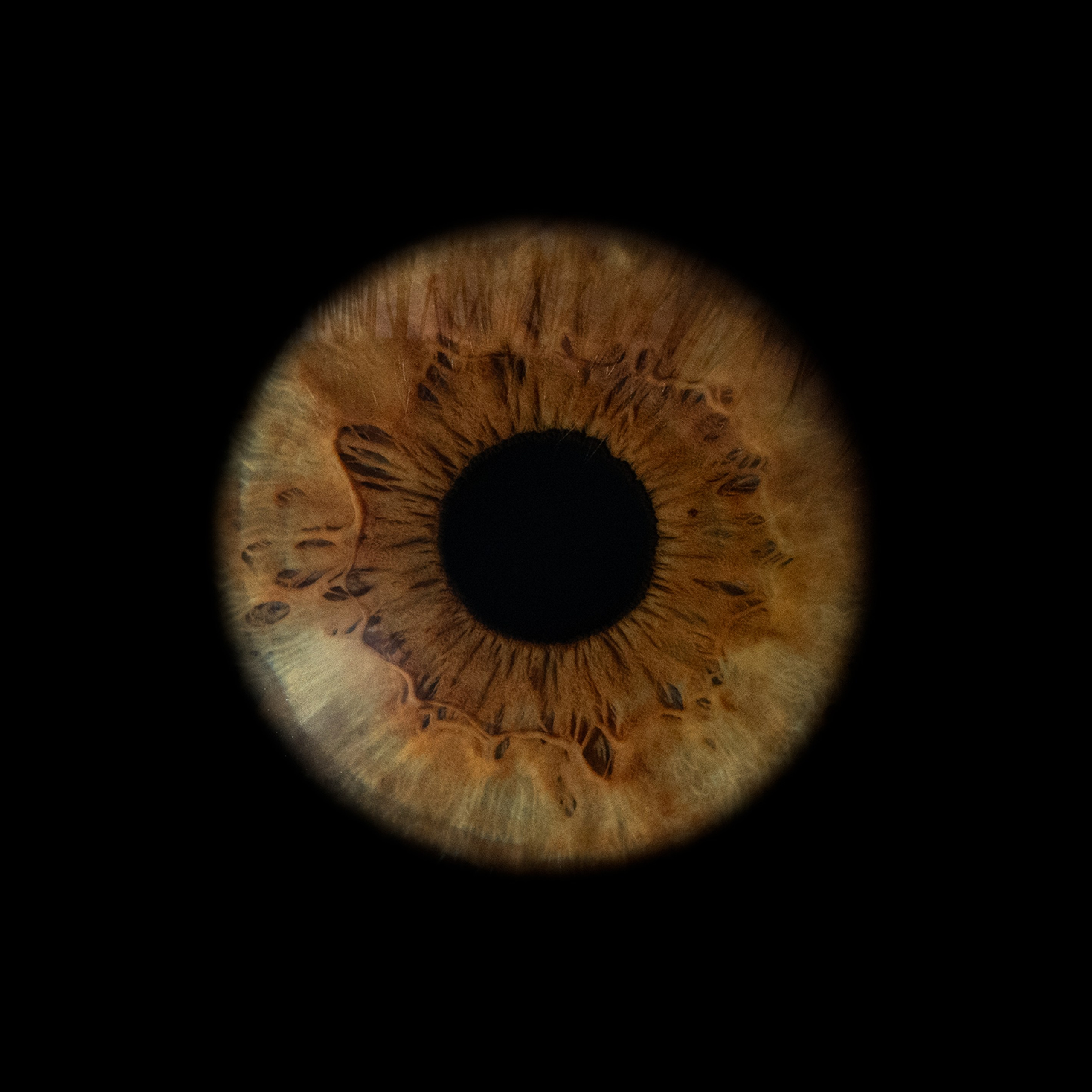 Фото радужки глаза, Севастополь, Ojo Art , фото студия радужки глаза в Крыму.