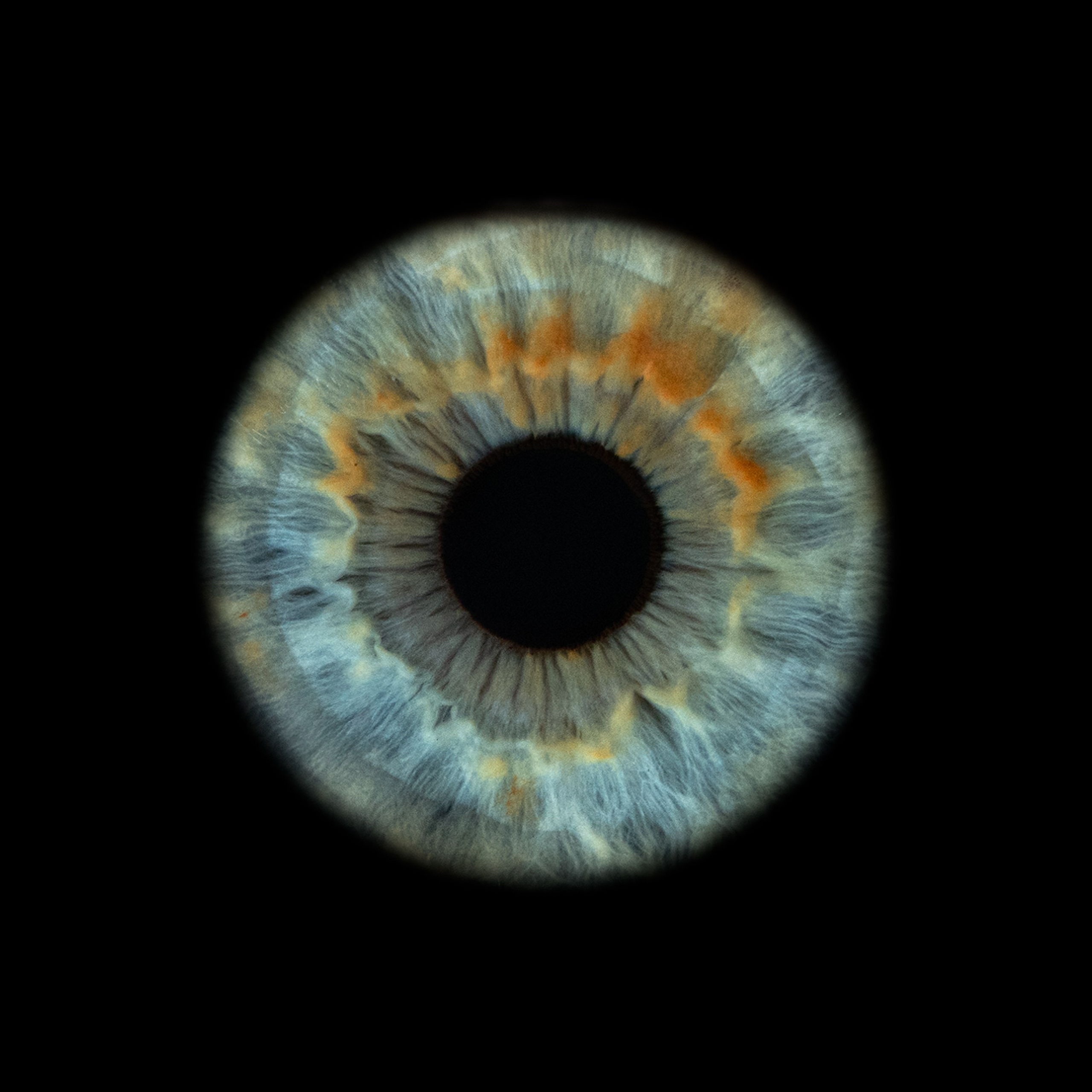 Фото радужки глаза, Севастополь, Ojo Art , фото студия радужки глаза в Крыму.