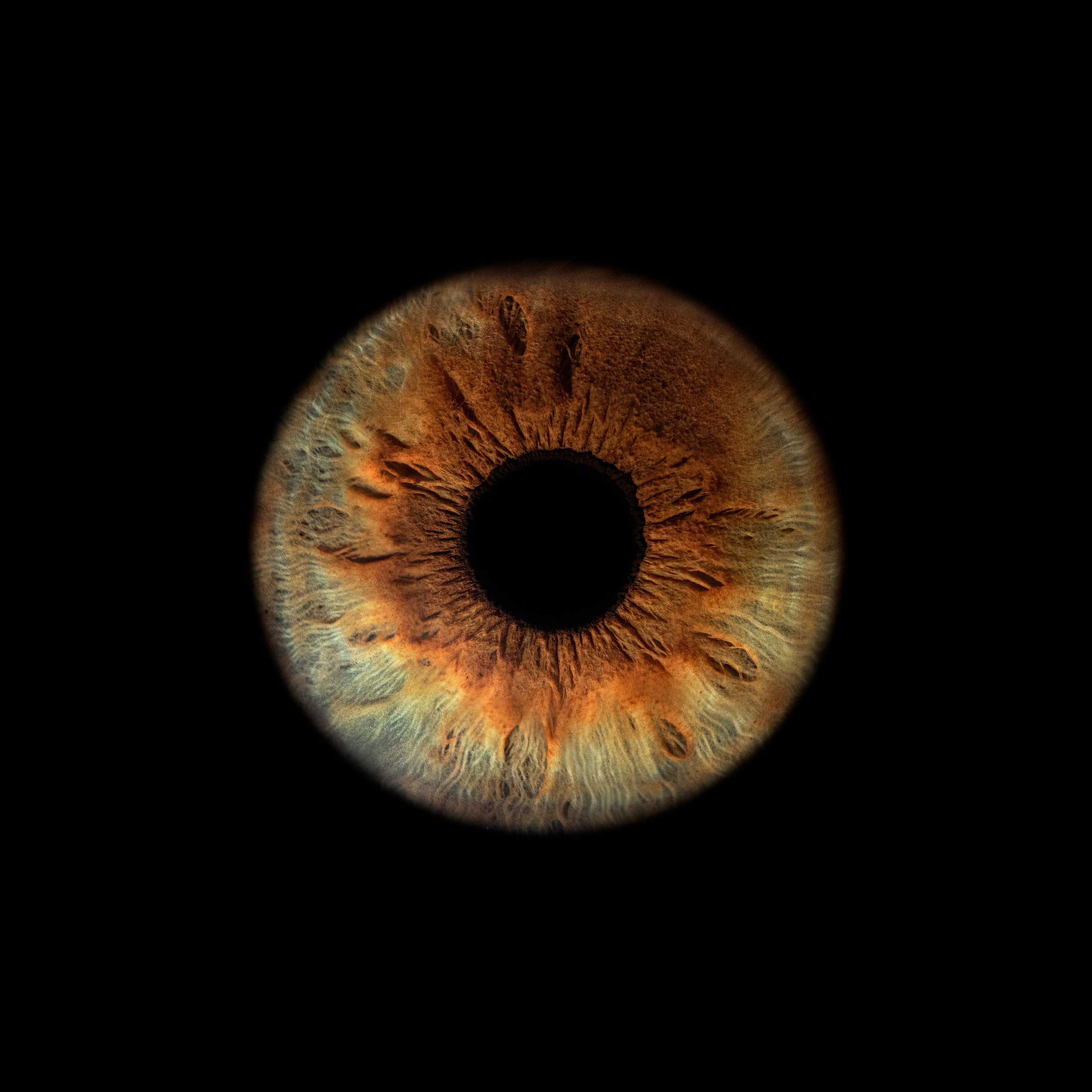 Фото радужки глаза, Севастополь, Ojo Art , фото студия радужки глаза в Крыму.