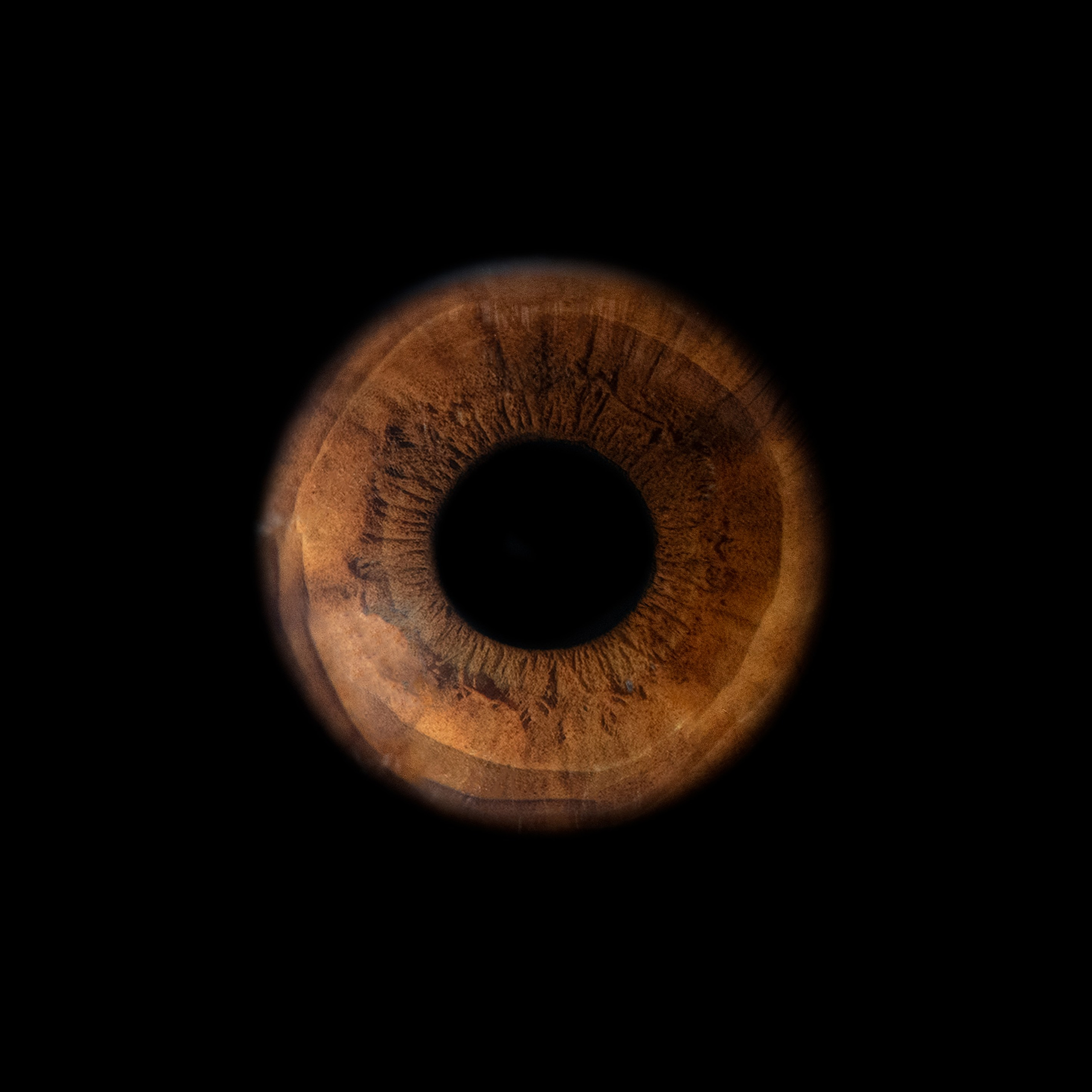 Фотография макро радужки глаза, Севастополь, Ojo Art , фото студия радужки глаза в Крыму, Севастополь 