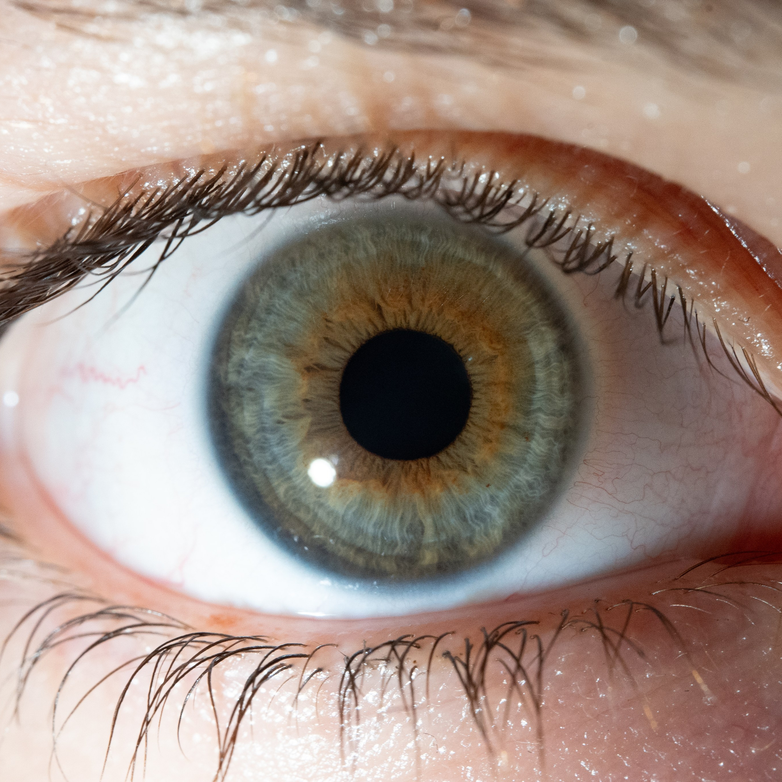 Портфолио — Галерея глаз  Ojo Art. Фотостудия макросъёмки радужки глаз в Севастополе «Ojo art»