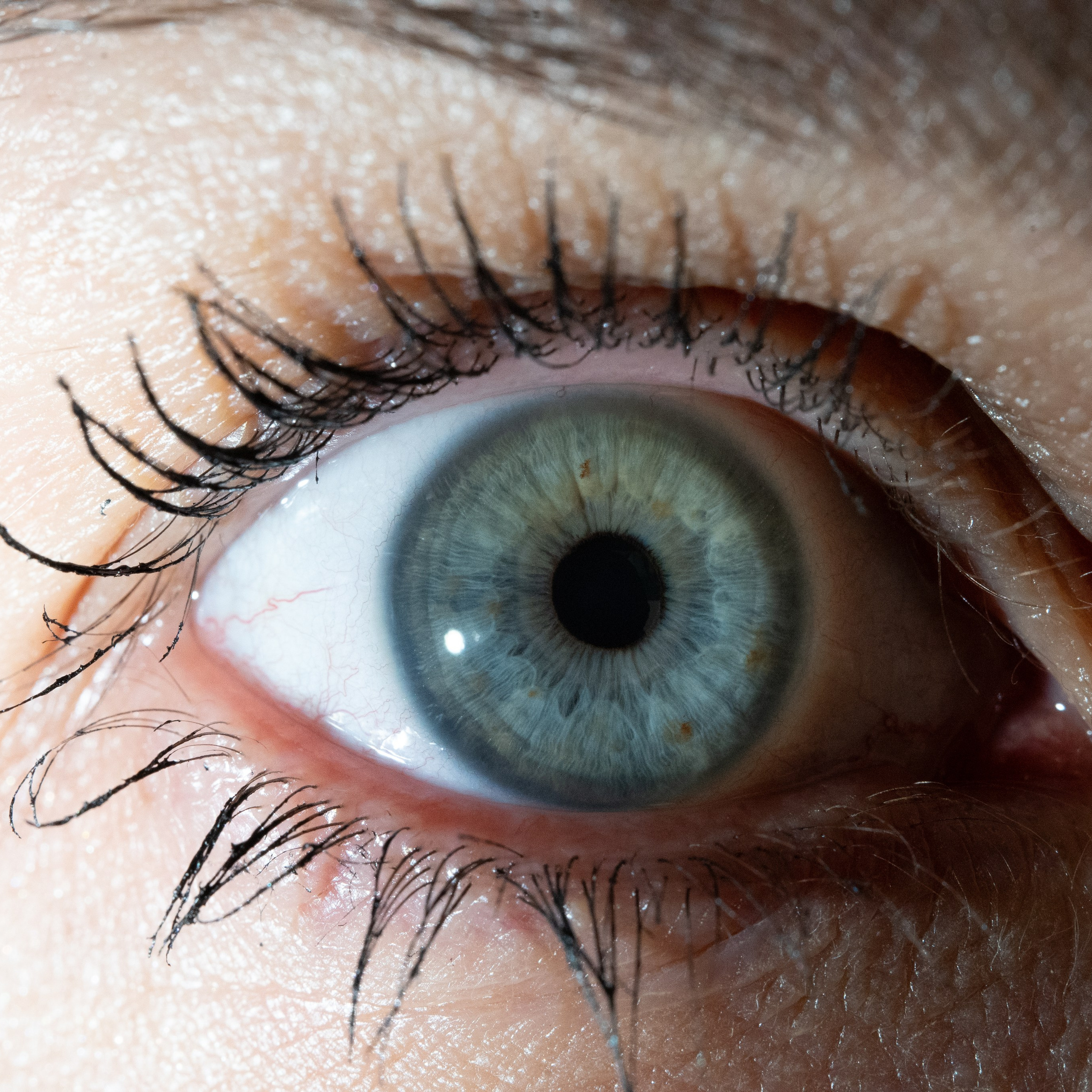 Портфолио — Галерея глаз  Ojo Art. Фотостудия макросъёмки радужки глаз в Севастополе «Ojo art»