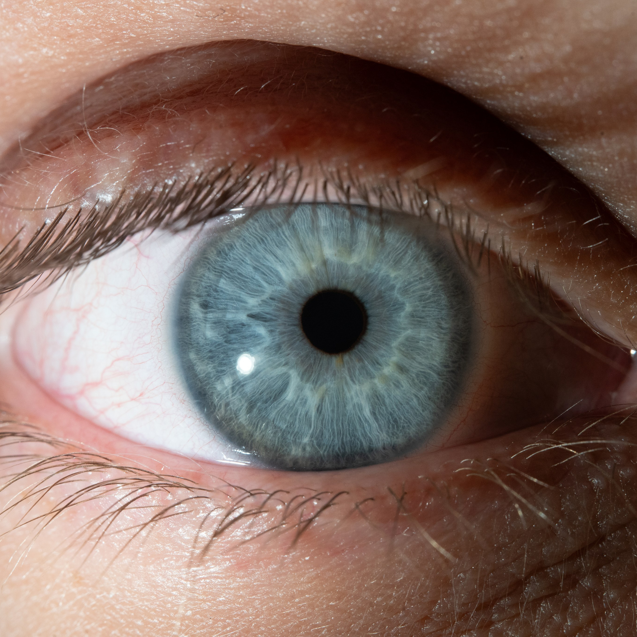 Фотография макро радужки глаза, Севастополь, Ojo Art , фото студия радужки глаза в Крыму, Севастополь 