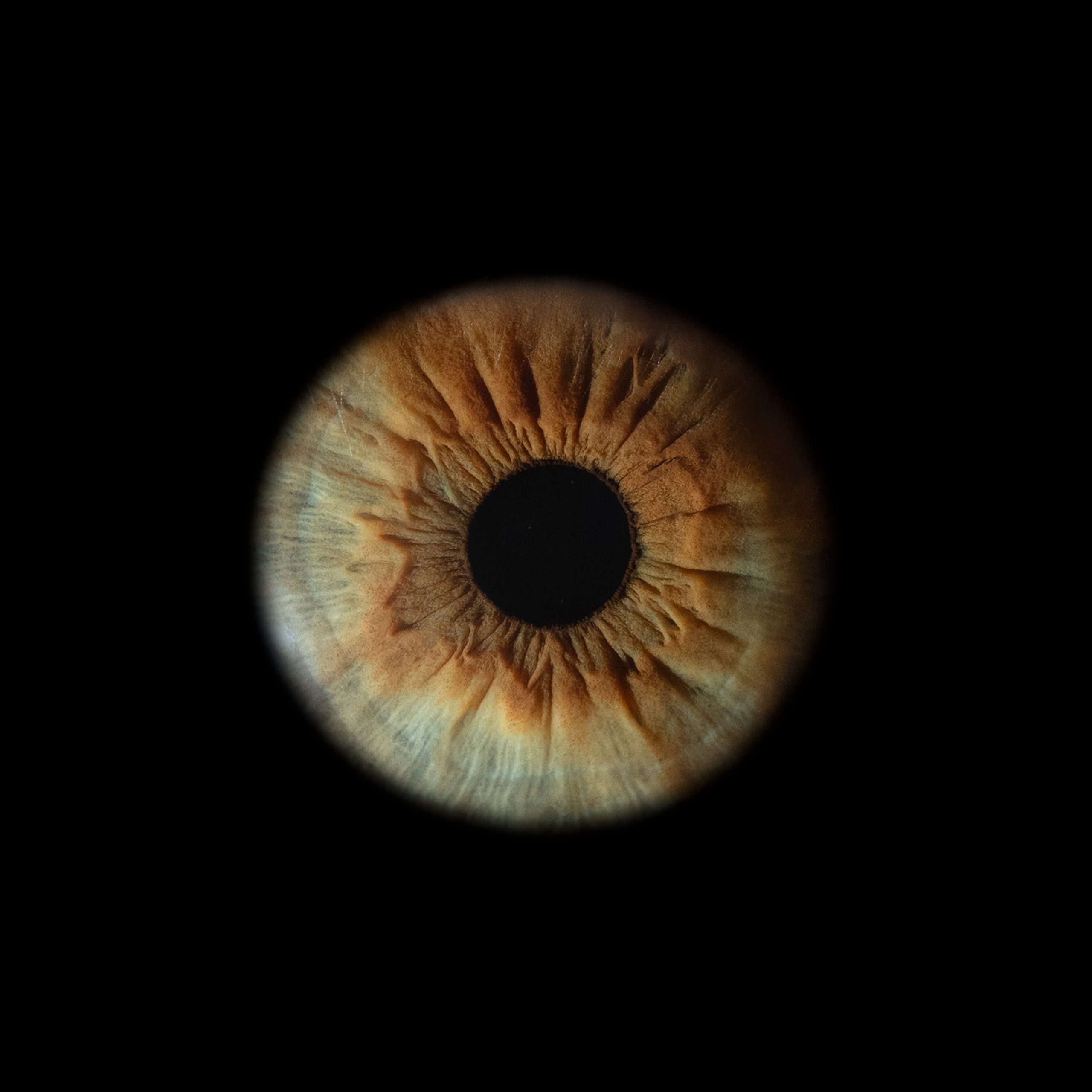 Фото радужки глаза, Севастополь, Ojo Art , фото студия радужки глаза в Крыму.