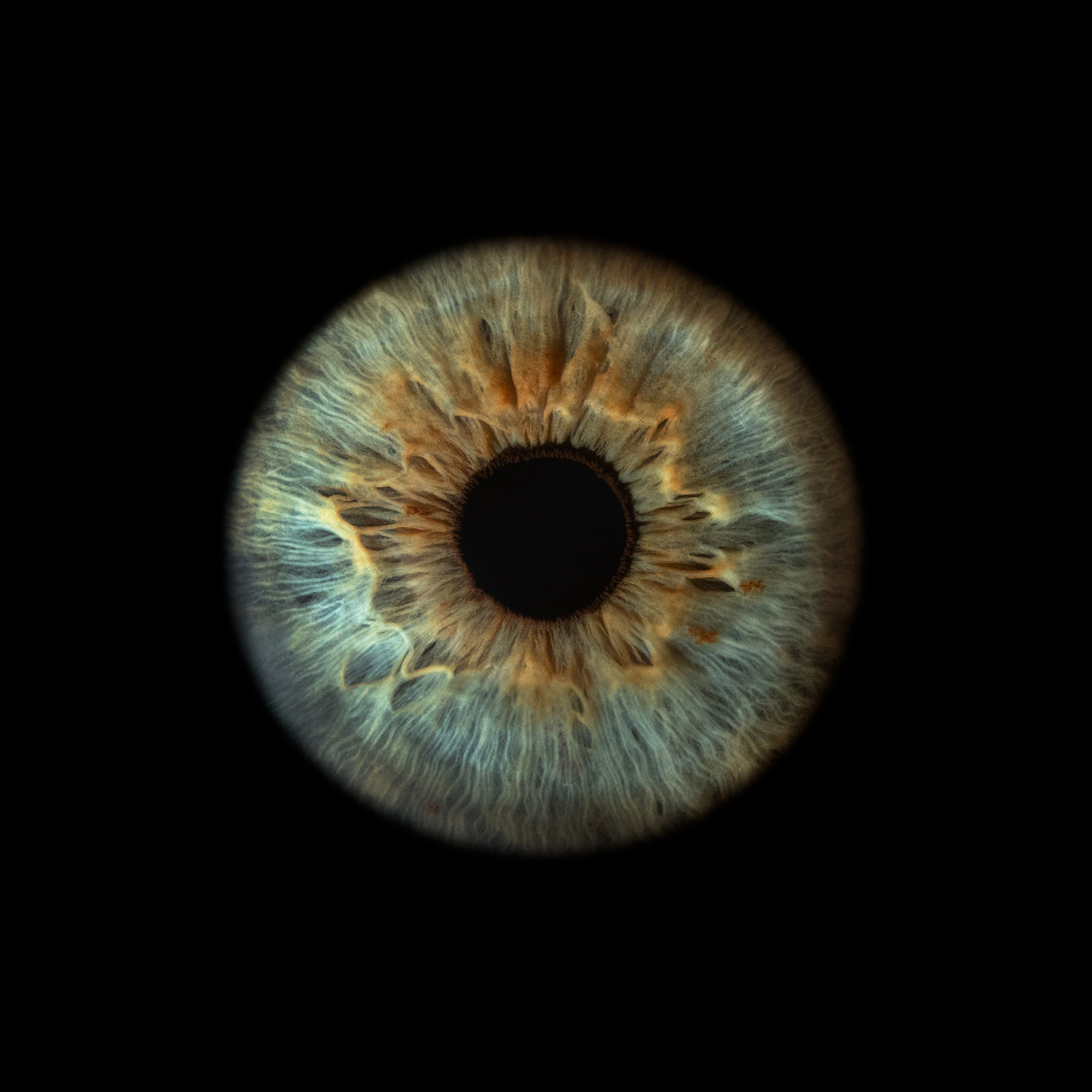 Фото радужки глаза, Севастополь, Ojo Art , фото студия радужки глаза в Крыму.