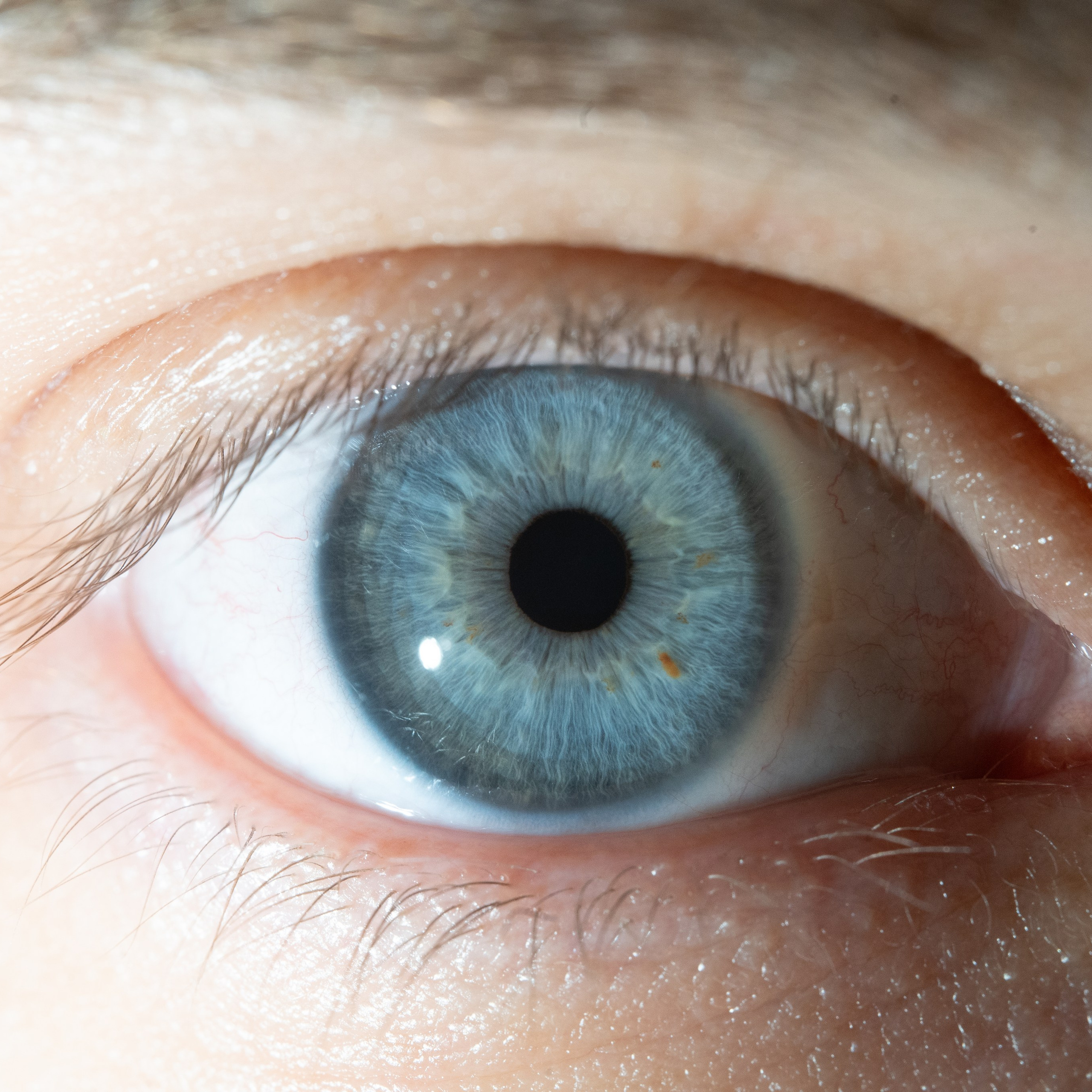 Фотография макро радужки глаза, Севастополь, Ojo Art , фото студия радужки глаза в Крыму, Севастополь 