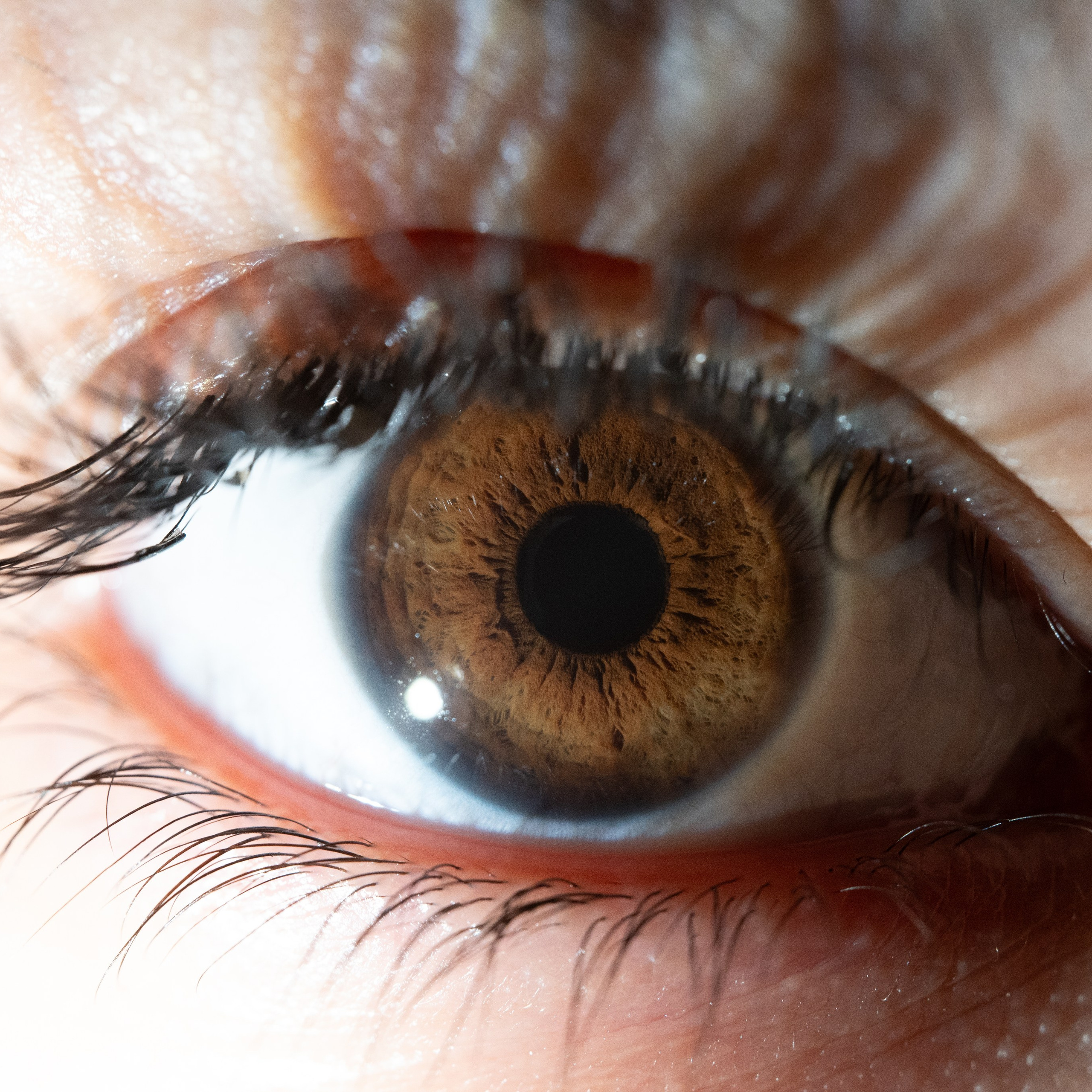 Портфолио — Галерея глаз  Ojo Art. Фотостудия макросъёмки радужки глаз в Севастополе «Ojo art»