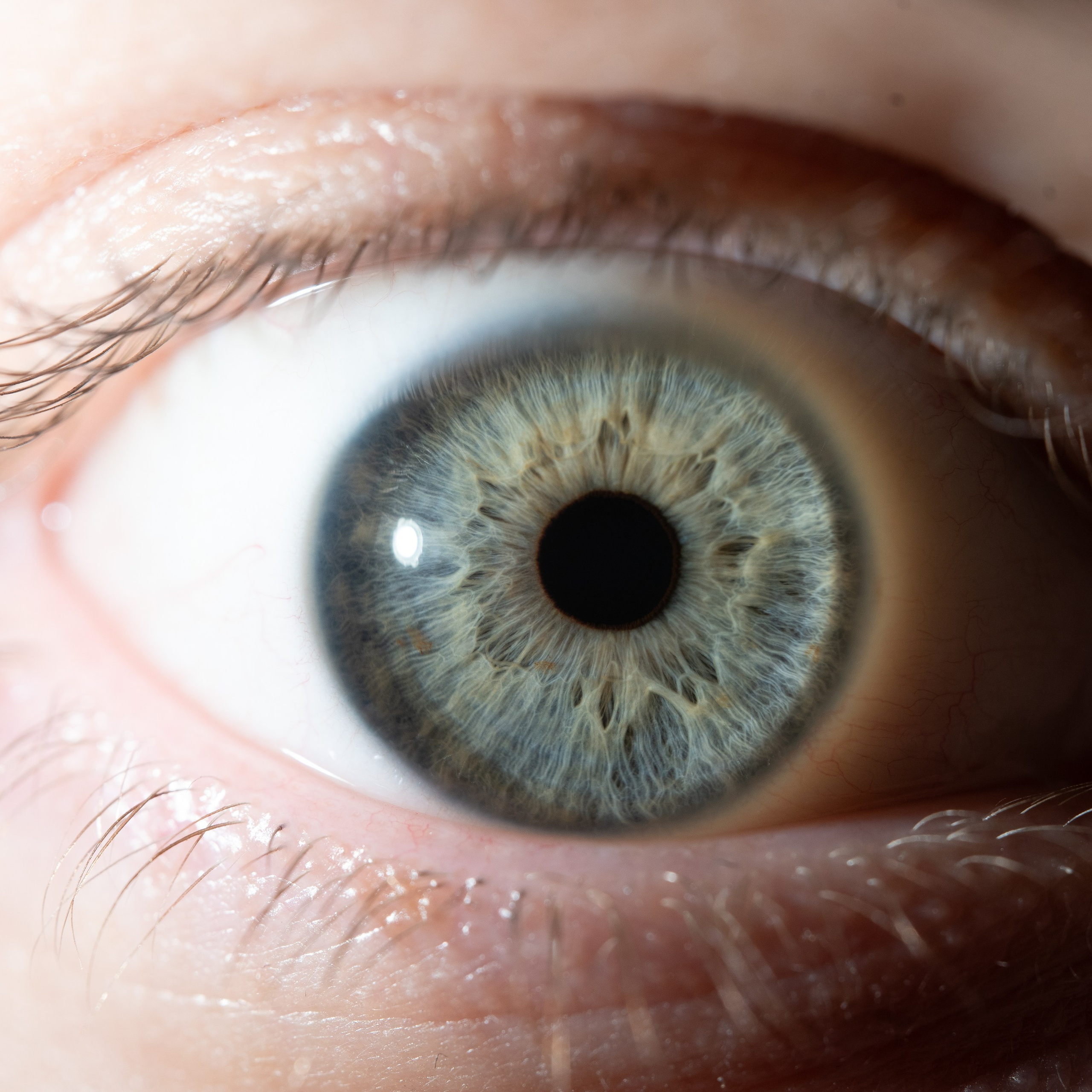 Фотография макро радужки глаза, Севастополь, Ojo Art , фото студия радужки глаза в Крыму, Севастополь 