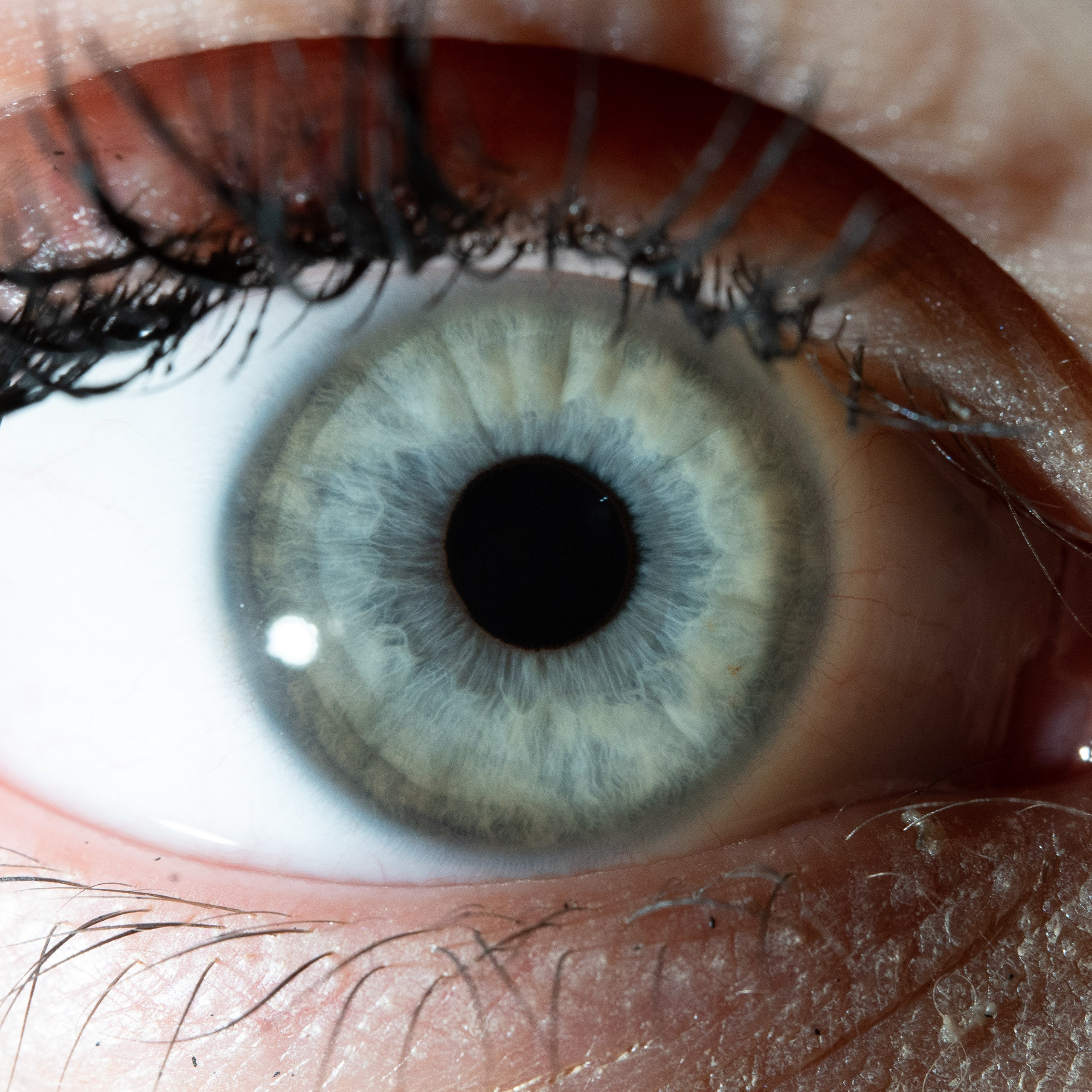 Фотография макро радужки глаза, Севастополь, Ojo Art , фото студия радужки глаза в Крыму, Севастополь 