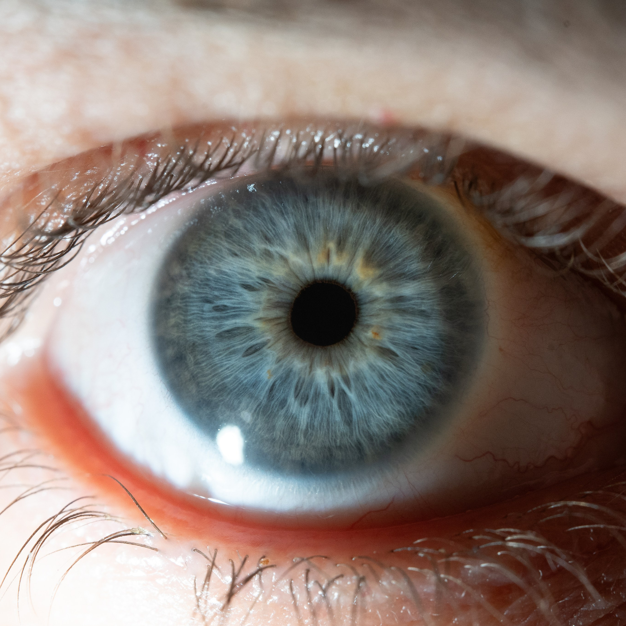 Фотография макро радужки глаза, Севастополь, Ojo Art , фото студия радужки глаза в Крыму, Севастополь 