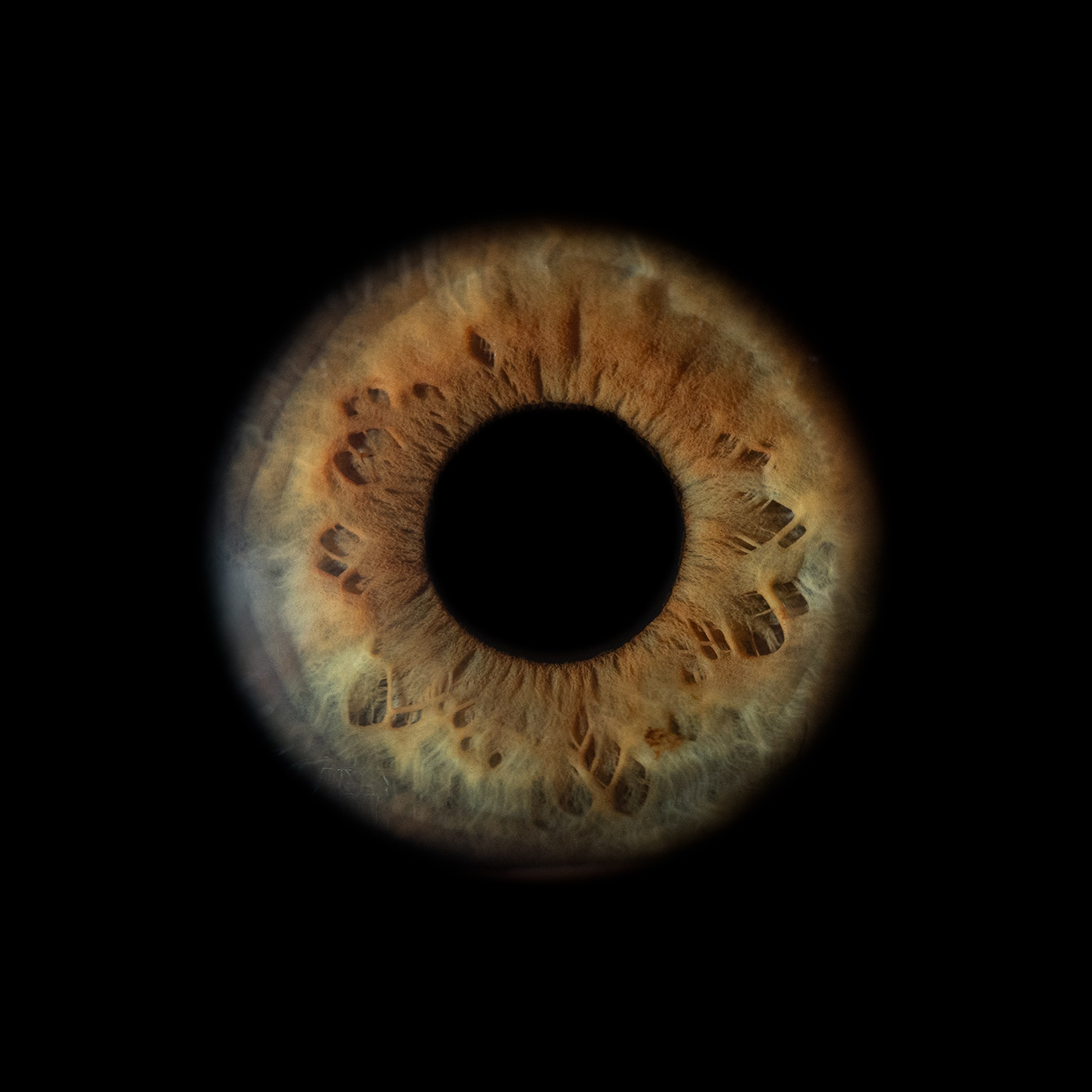 Фото радужки глаза, Севастополь, Ojo Art , фото студия радужки глаза в Крыму.