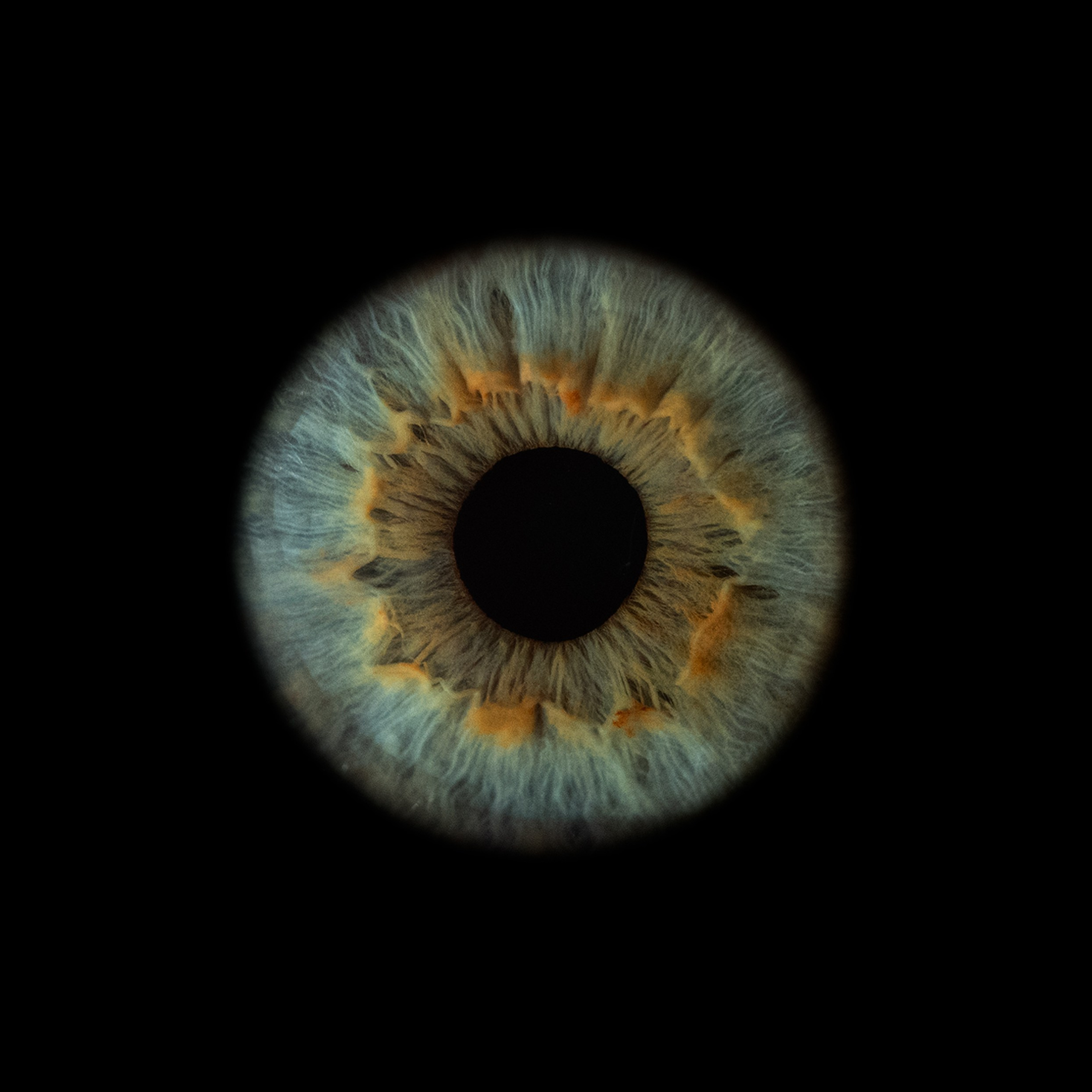 Портфолио — Галерея макрофотографий радужек глаза от Ojo Art, Севастополь. Фотостудия макросъёмки радужки глаз в Севастополе «Ojo art»