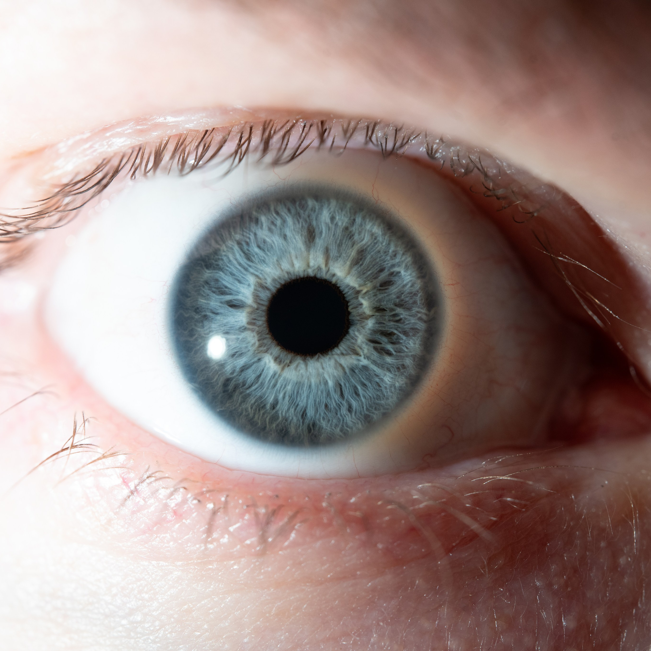 Фотография макро радужки глаза, Севастополь, Ojo Art , фото студия радужки глаза в Крыму, Севастополь 