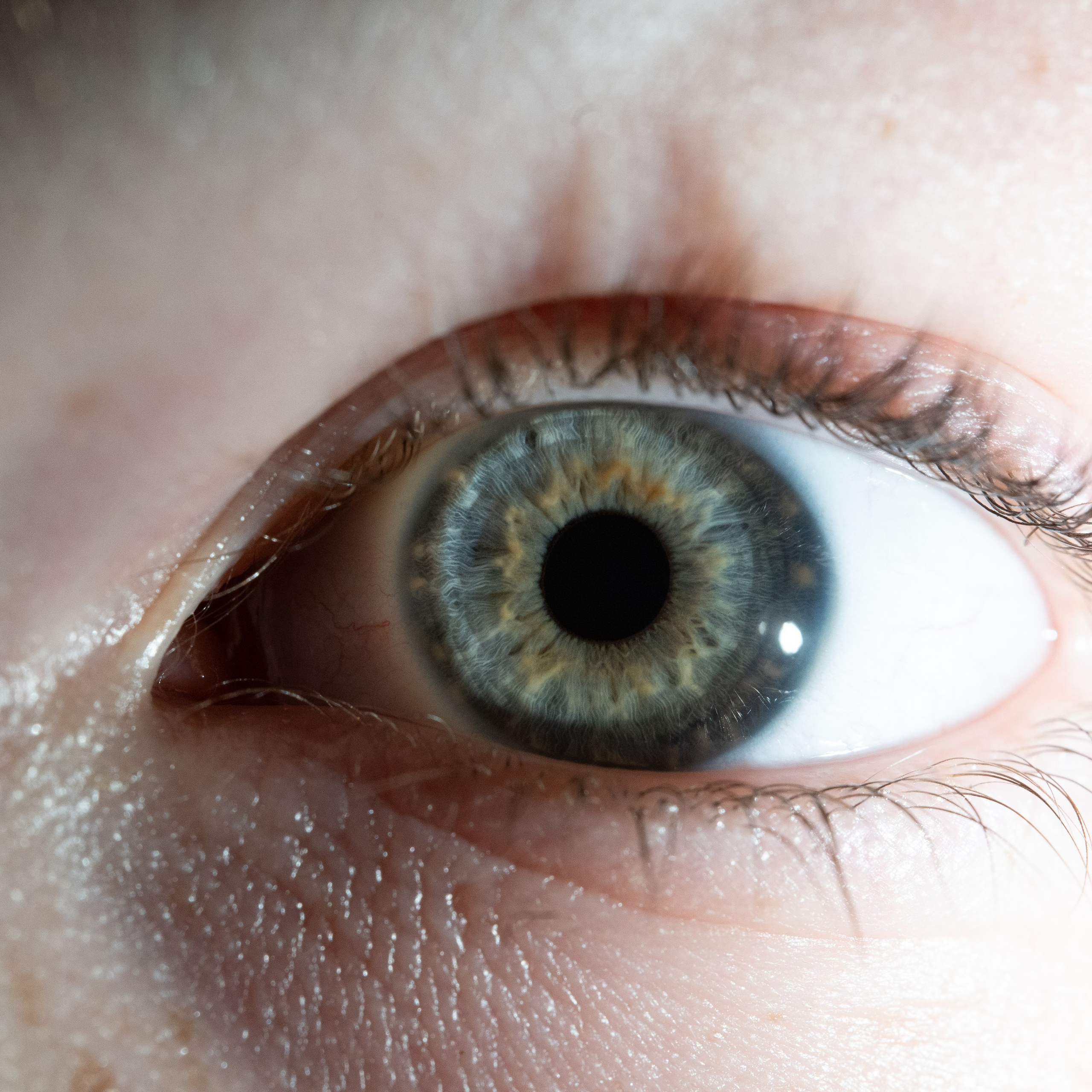 Портфолио — Галерея глаз  Ojo Art. Фотостудия макросъёмки радужки глаз в Севастополе «Ojo art»