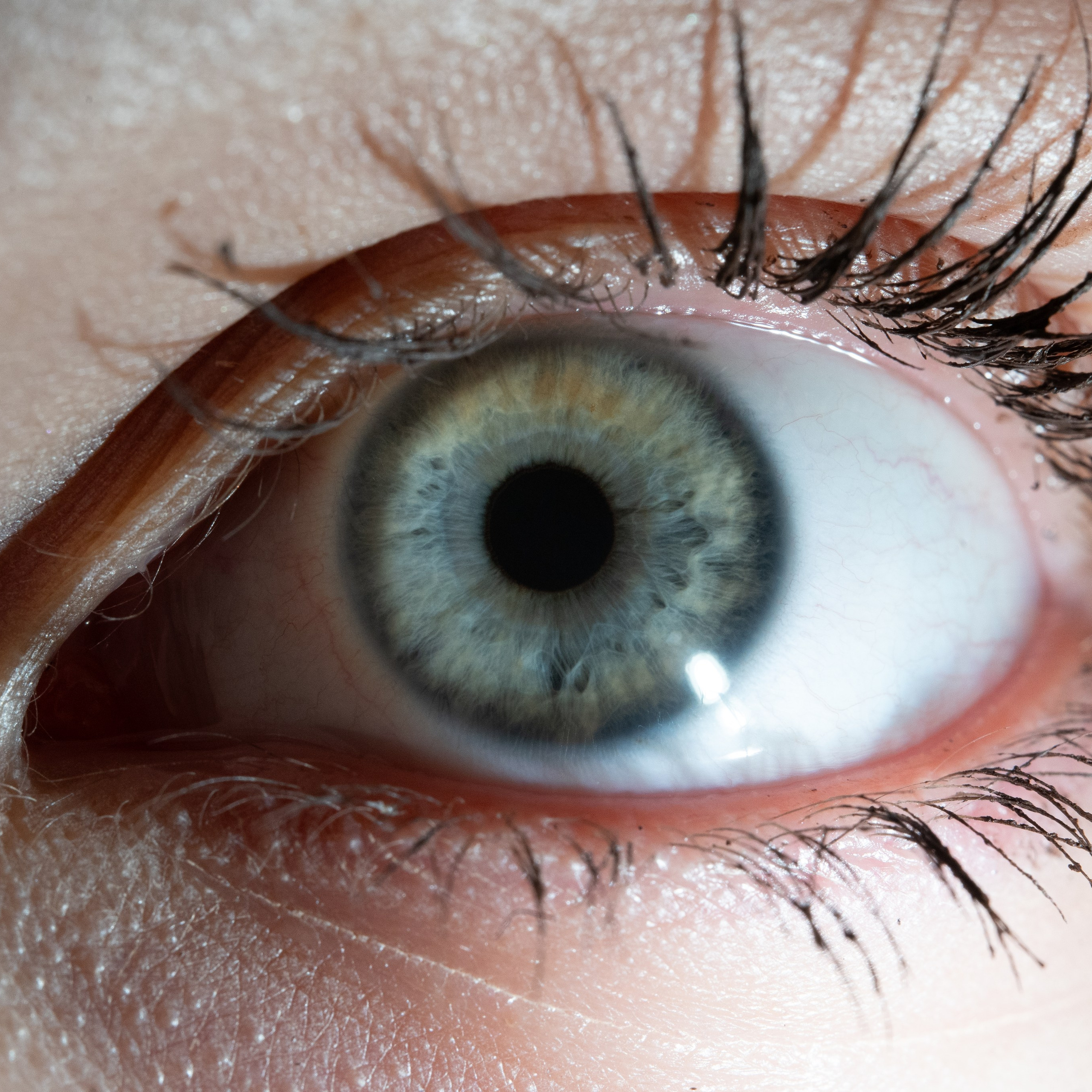 Фотография макро радужки глаза, Севастополь, Ojo Art , фото студия радужки глаза в Крыму, Севастополь 