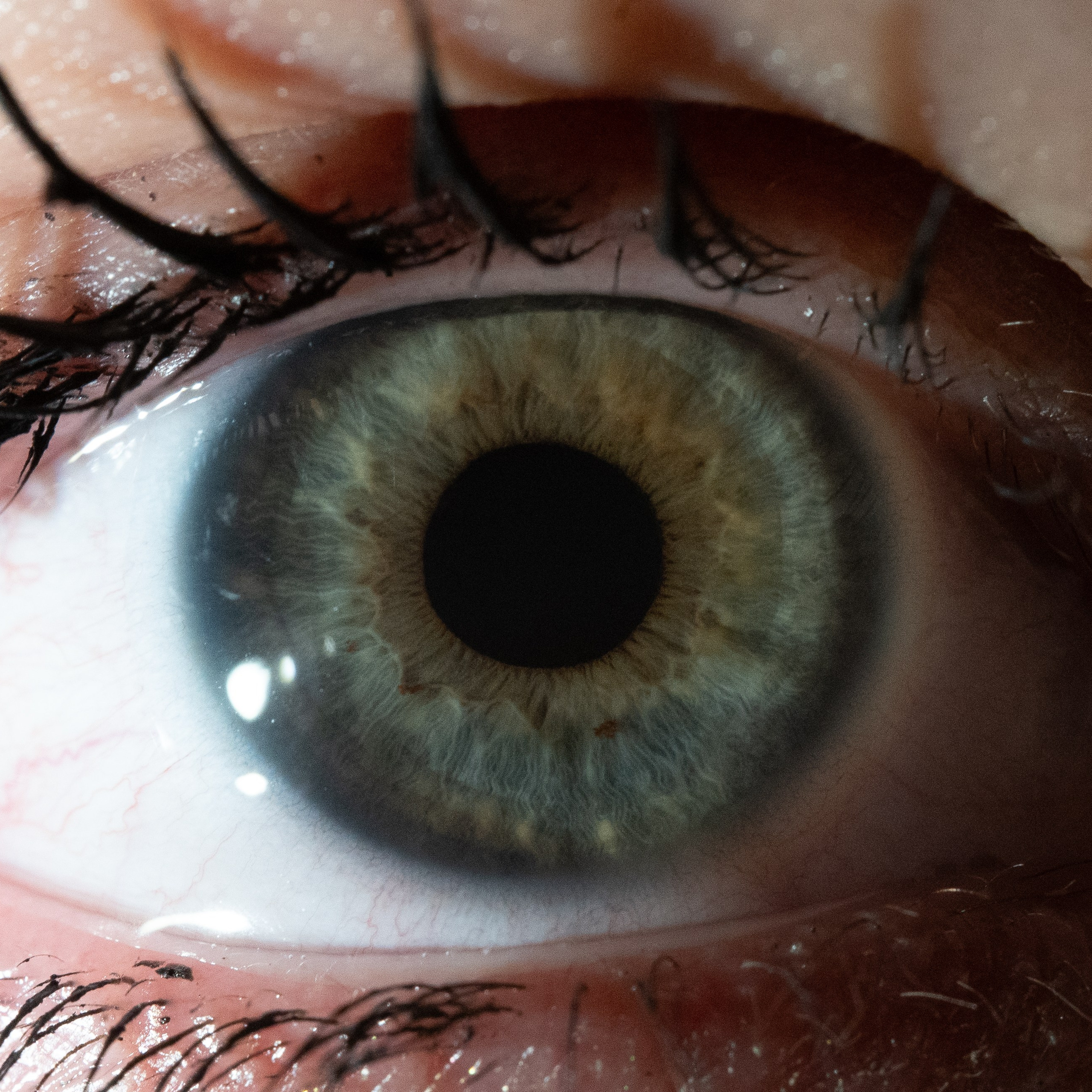 Портфолио — Галерея глаз  Ojo Art. Фотостудия макросъёмки радужки глаз в Севастополе «Ojo art»