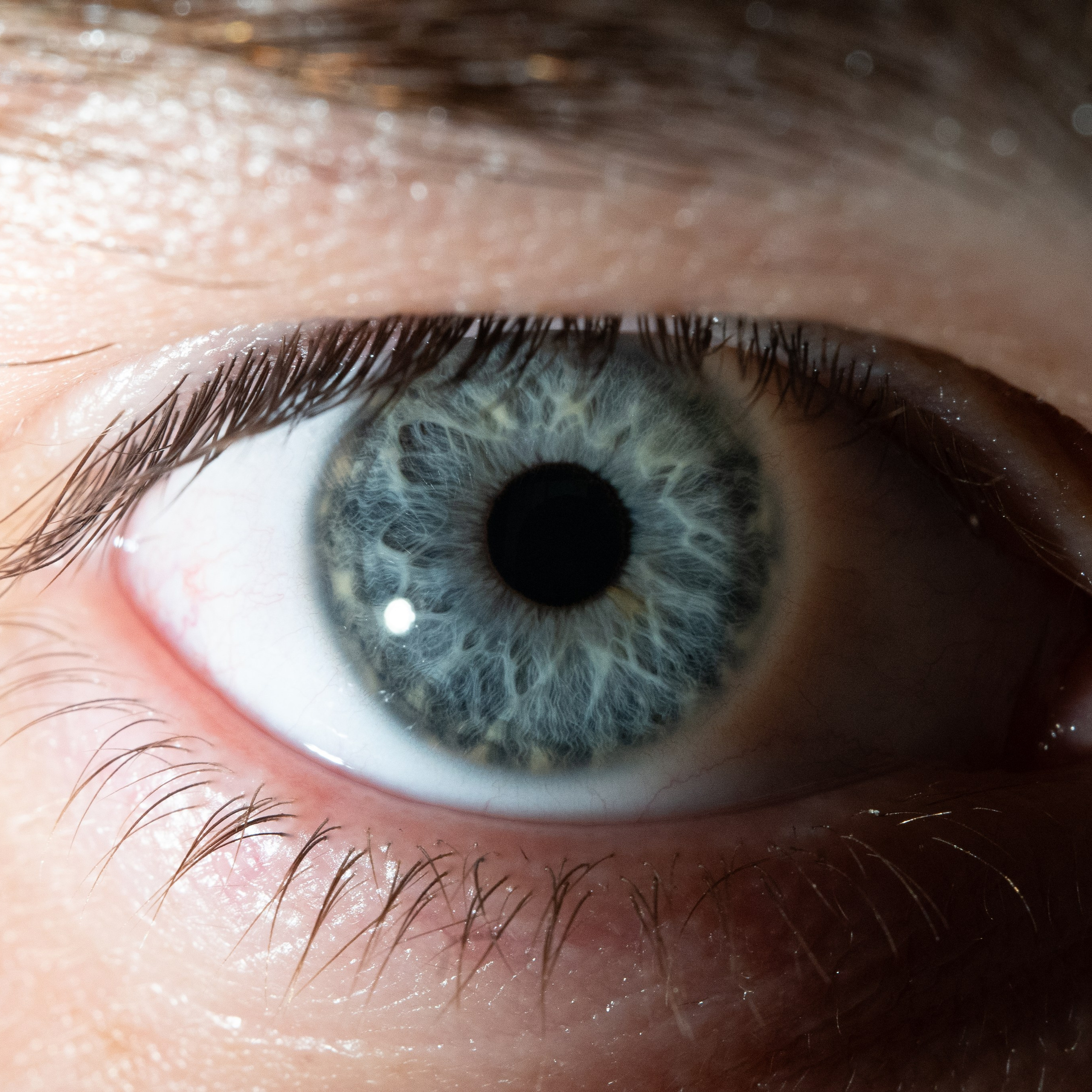 Портфолио — Галерея глаз  Ojo Art. Фотостудия макросъёмки радужки глаз в Севастополе «Ojo art»