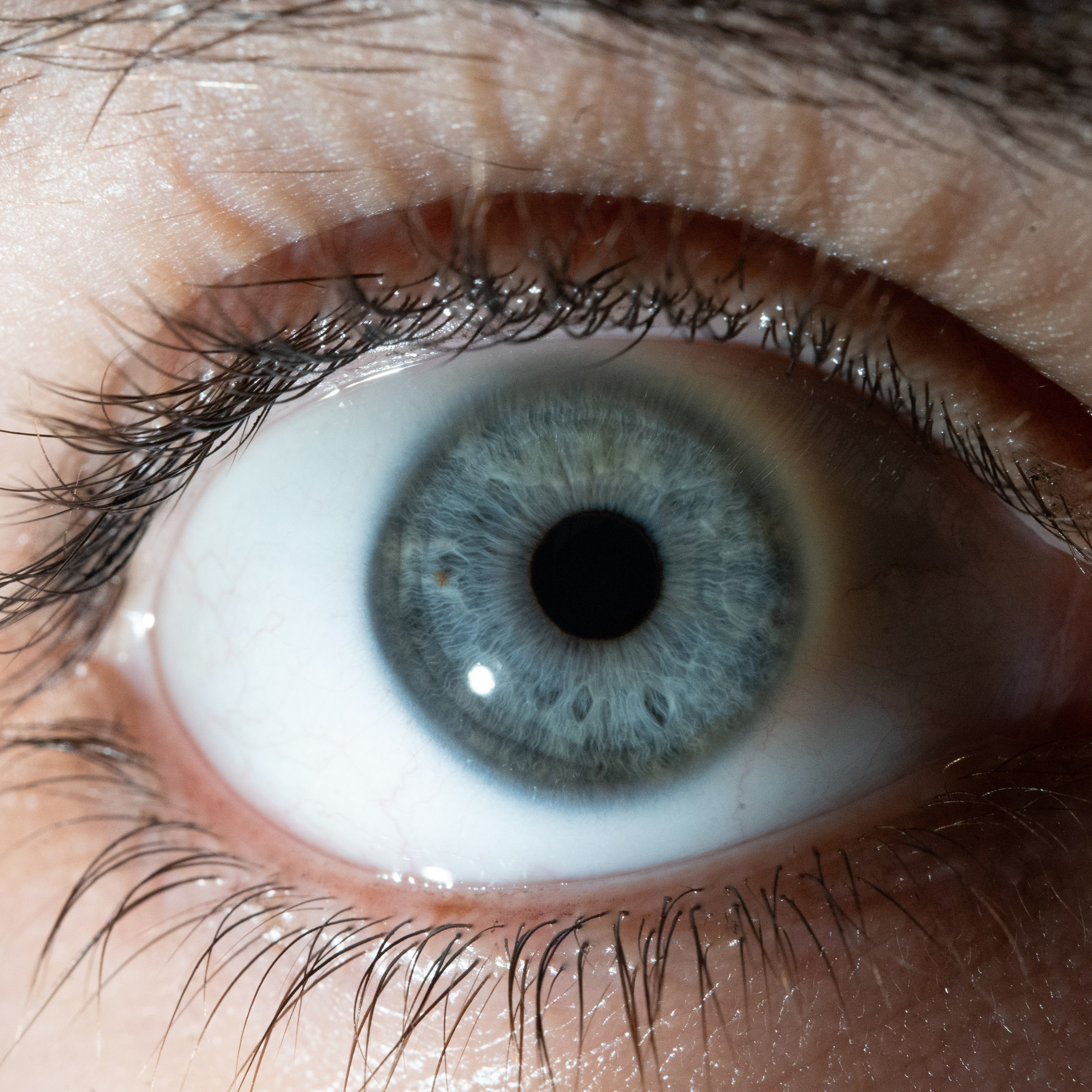 Портфолио — Галерея глаз  Ojo Art. Фотостудия макросъёмки радужки глаз в Севастополе «Ojo art»