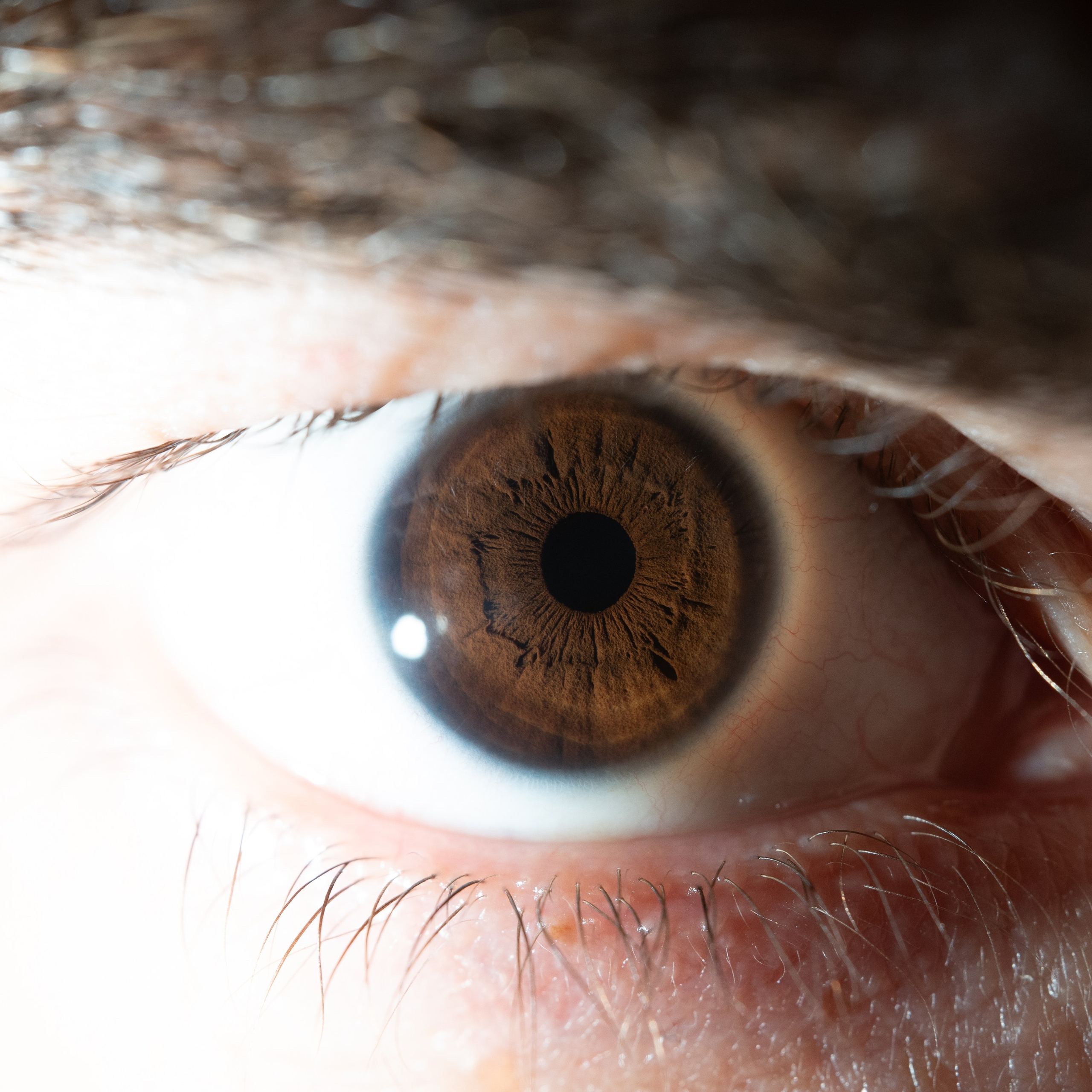 Фотография макро радужки глаза, Севастополь, Ojo Art , фото студия радужки глаза в Крыму, Севастополь 