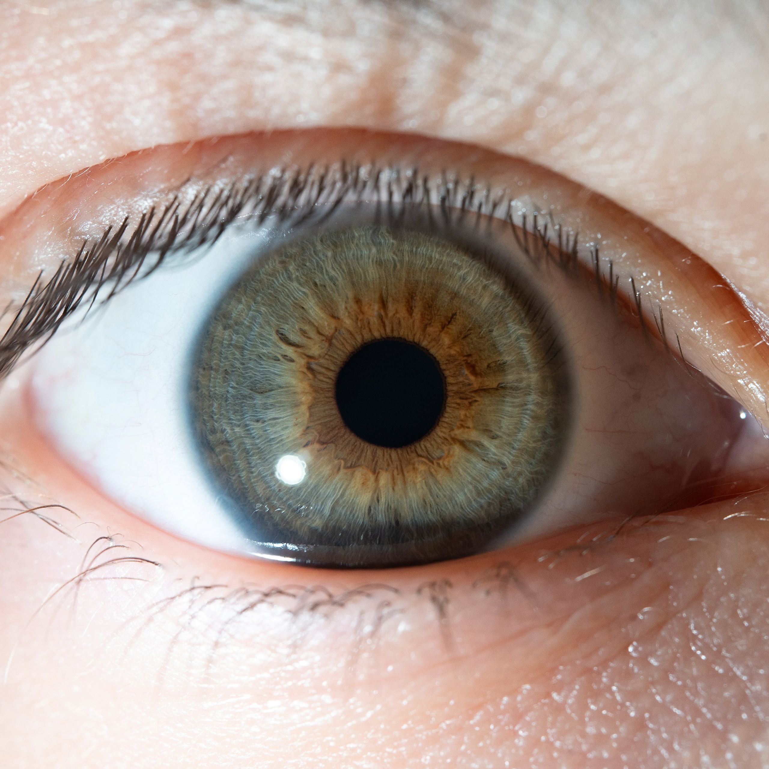 Фотография макро радужки глаза, Севастополь, Ojo Art , фото студия радужки глаза в Крыму, Севастополь 