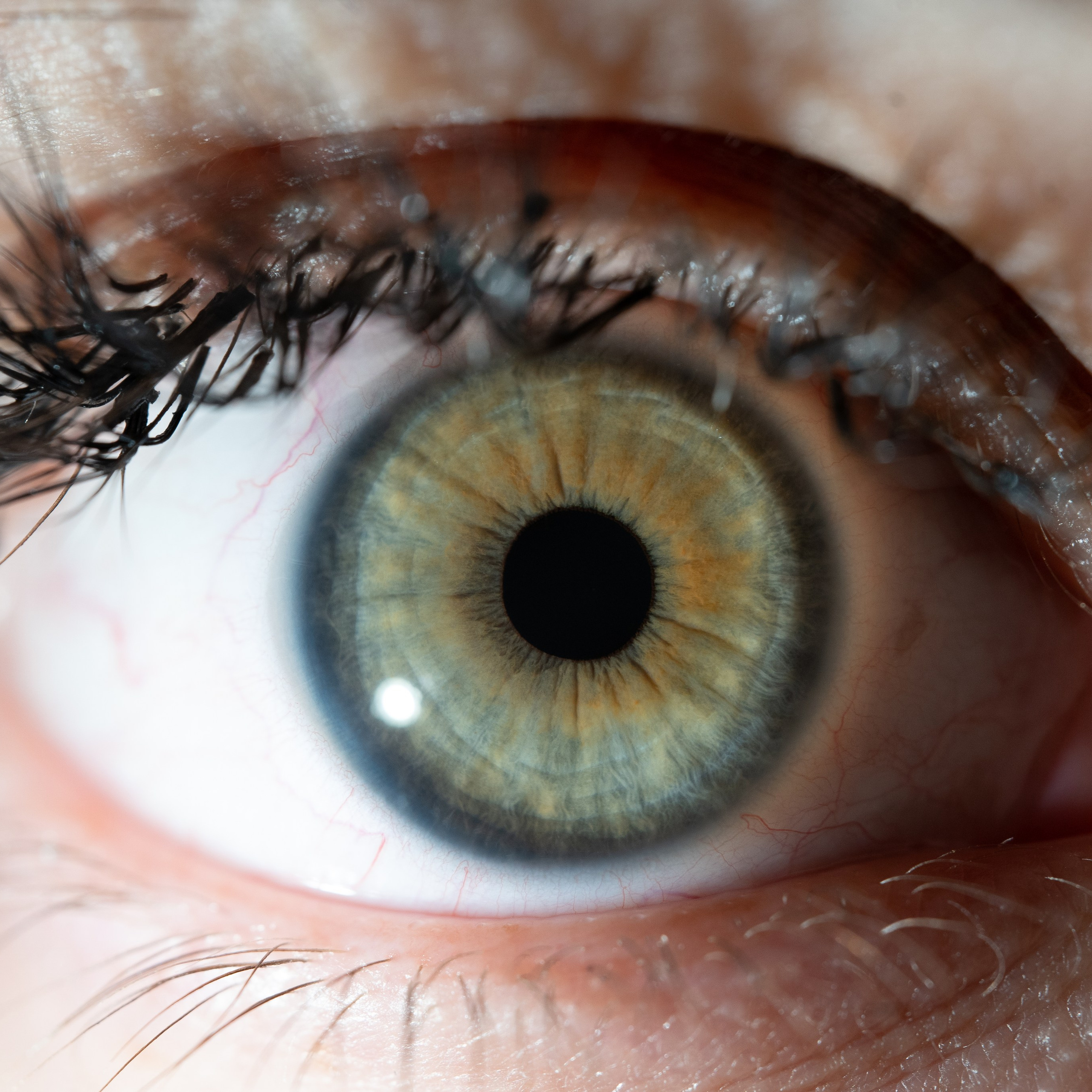 Фотография макро радужки глаза, Севастополь, Ojo Art , фото студия радужки глаза в Крыму, Севастополь 