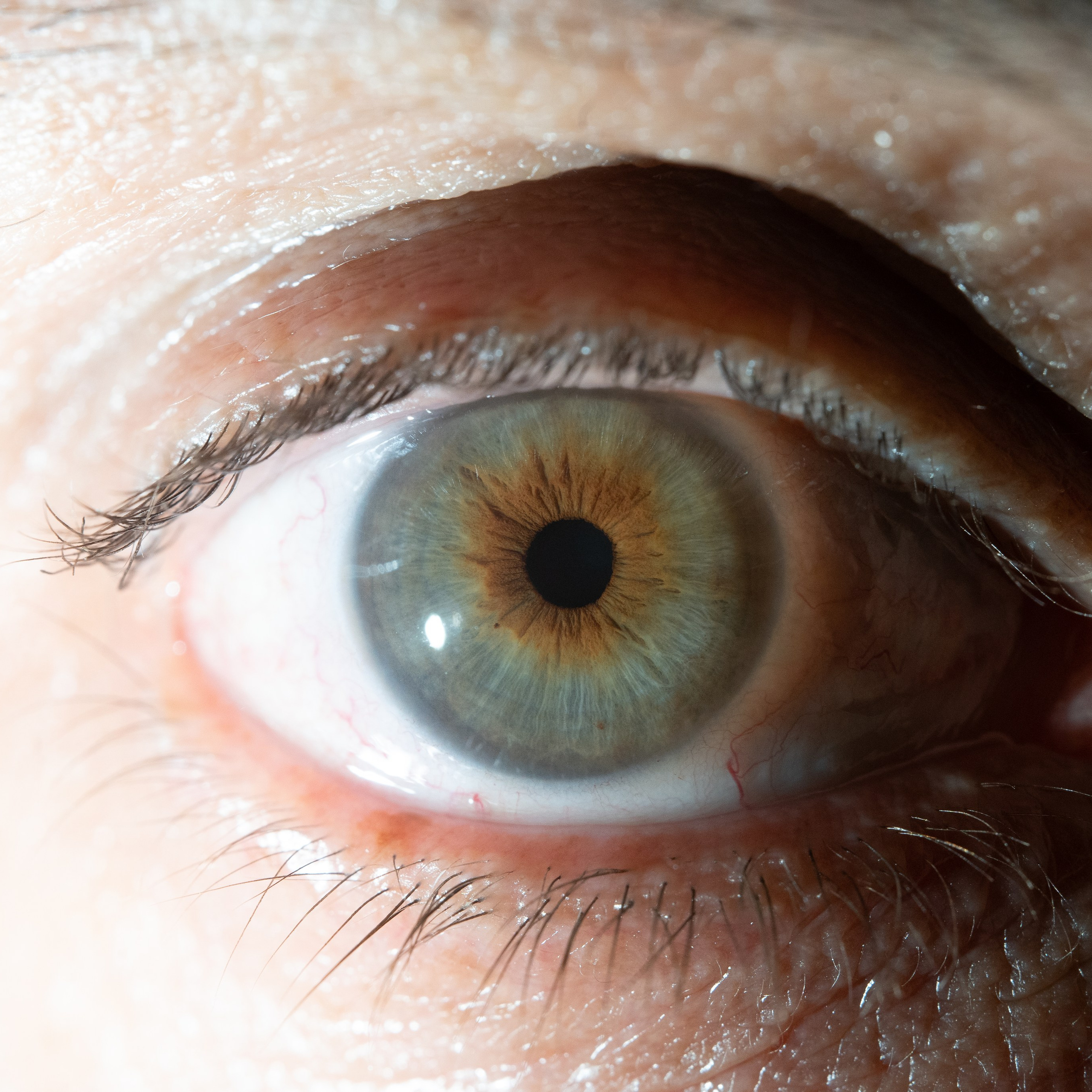 Фотография макро радужки глаза, Севастополь, Ojo Art , фото студия радужки глаза в Крыму, Севастополь 