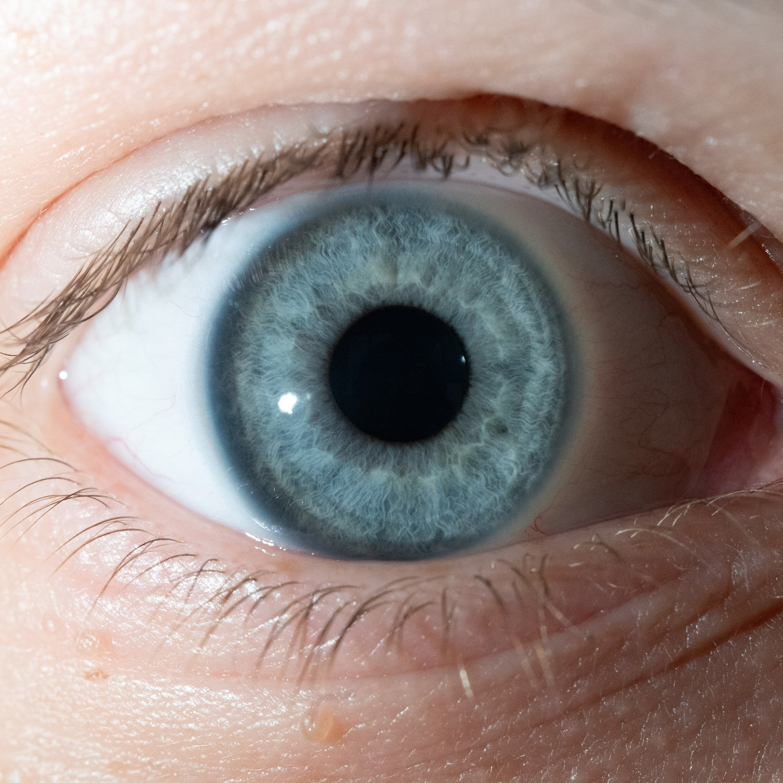 Портфолио — Галерея глаз  Ojo Art. Фотостудия макросъёмки радужки глаз в Севастополе «Ojo art»