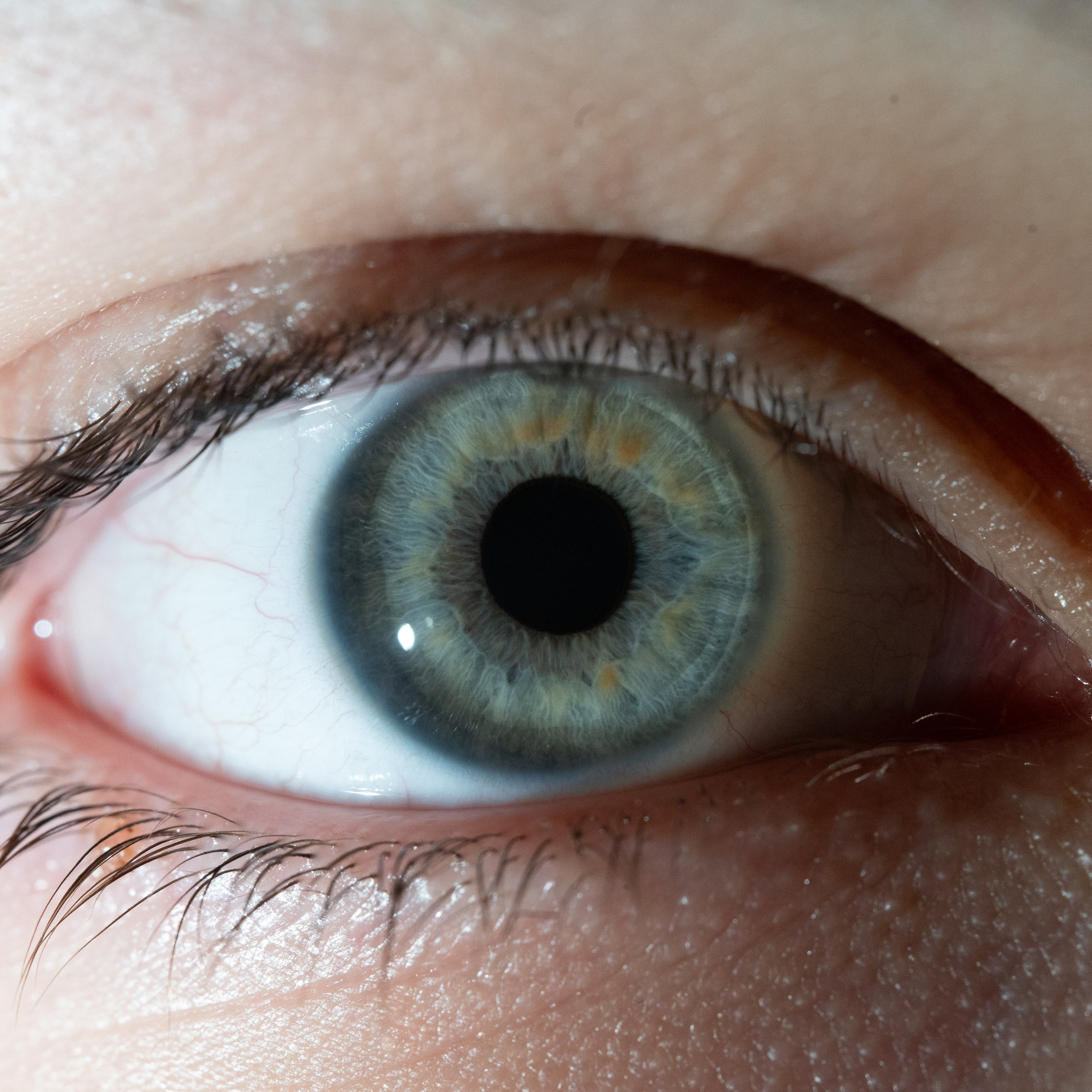 Фотография макро радужки глаза, Севастополь, Ojo Art , фото студия радужки глаза в Крыму, Севастополь 