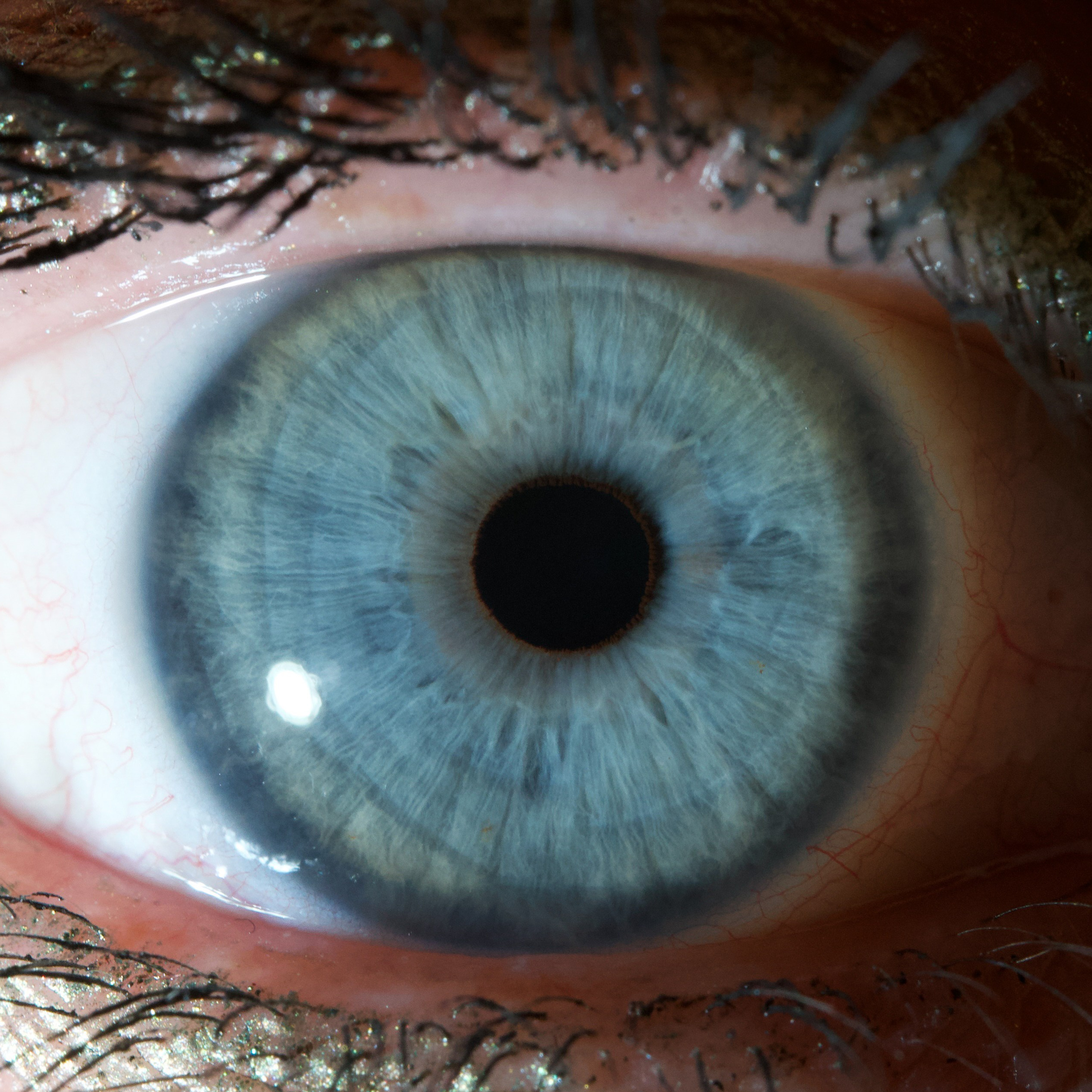 Фотография макро радужки глаза, Севастополь, Ojo Art , фото студия радужки глаза в Крыму, Севастополь 