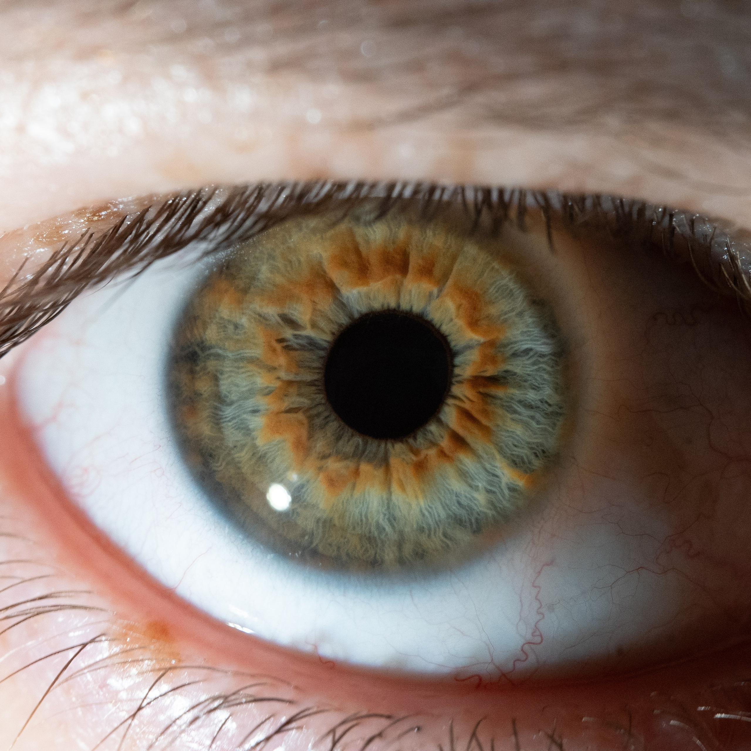 Портфолио — Галерея глаз  Ojo Art. Фотостудия макросъёмки радужки глаз в Севастополе «Ojo art»